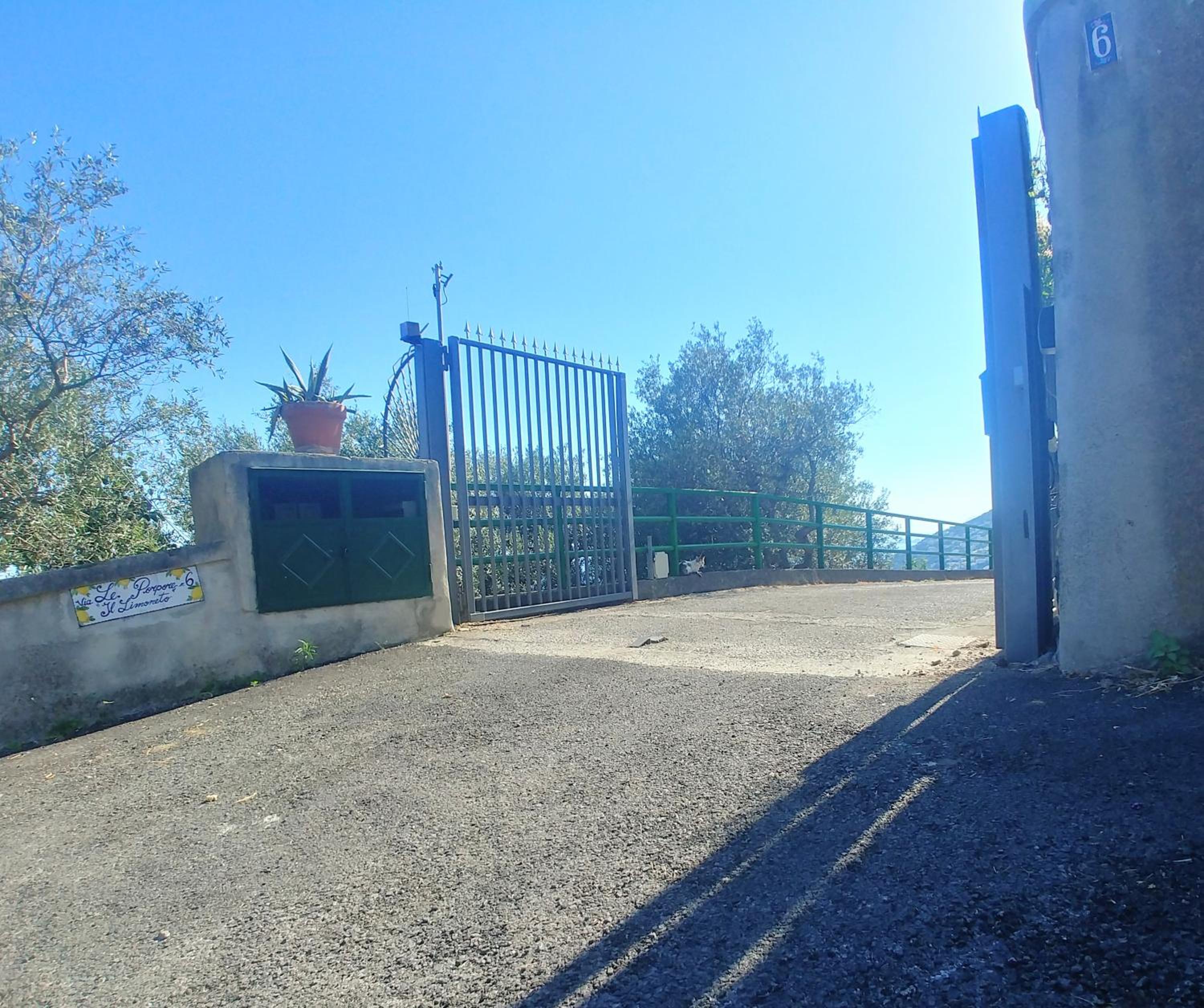Photo 22