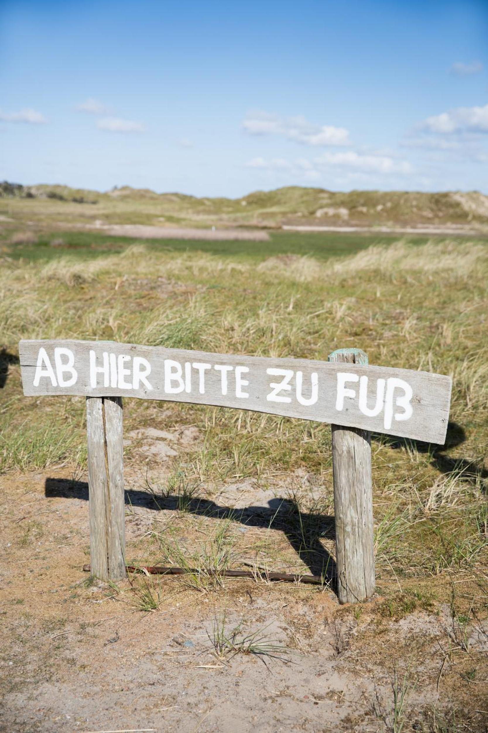 Photo 50