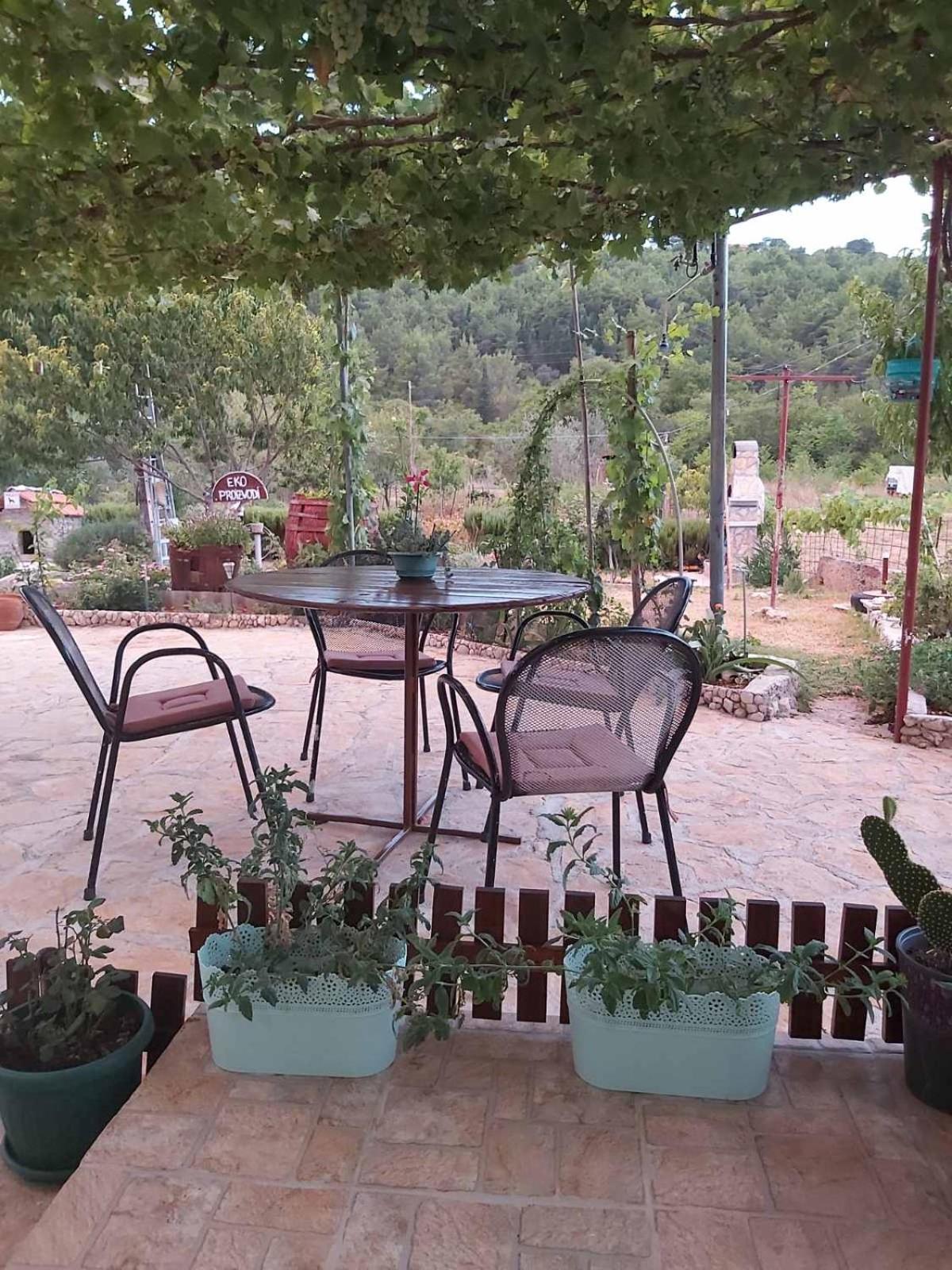 Apartman Rosa — photo 2