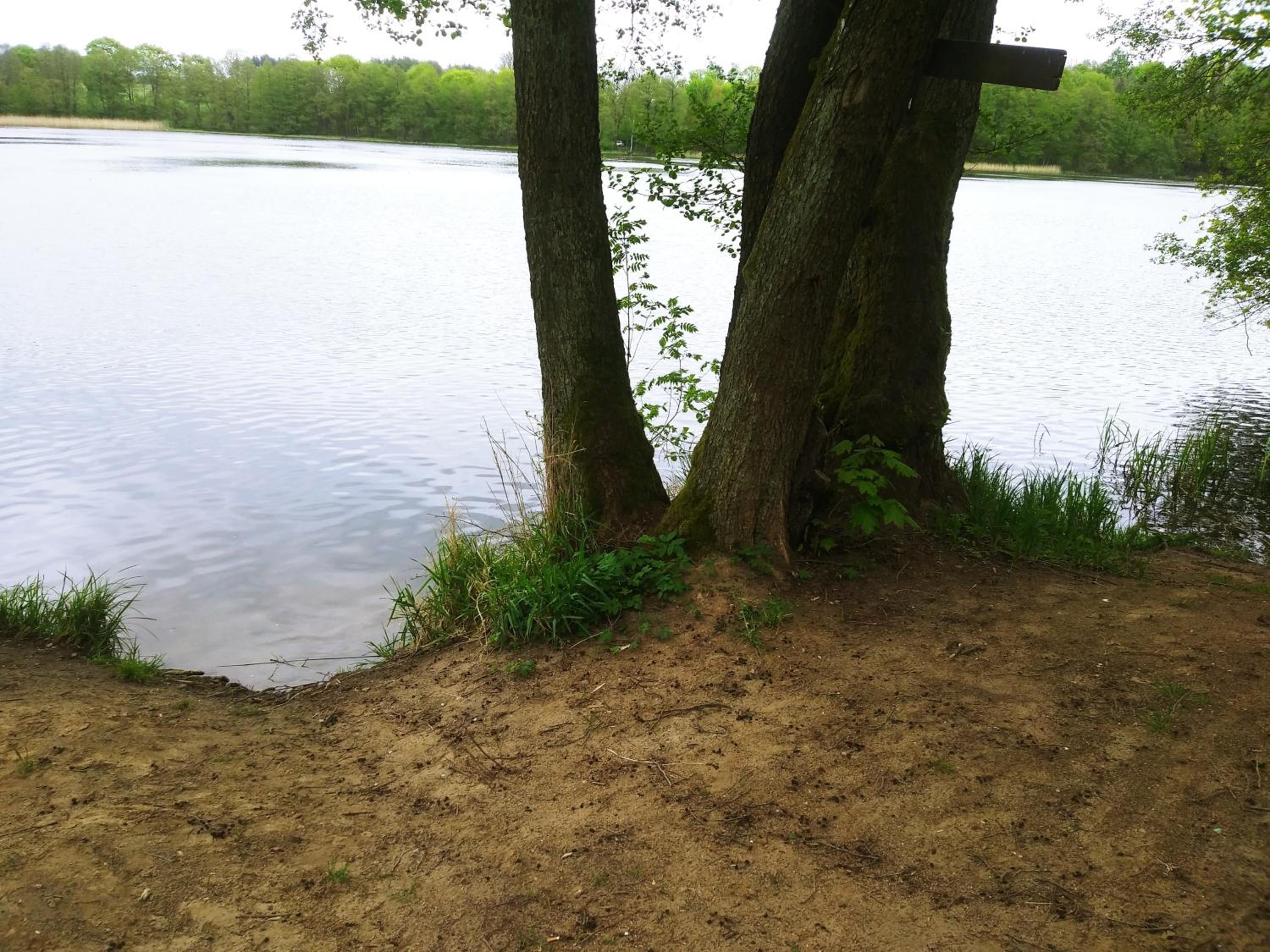 Photo 26