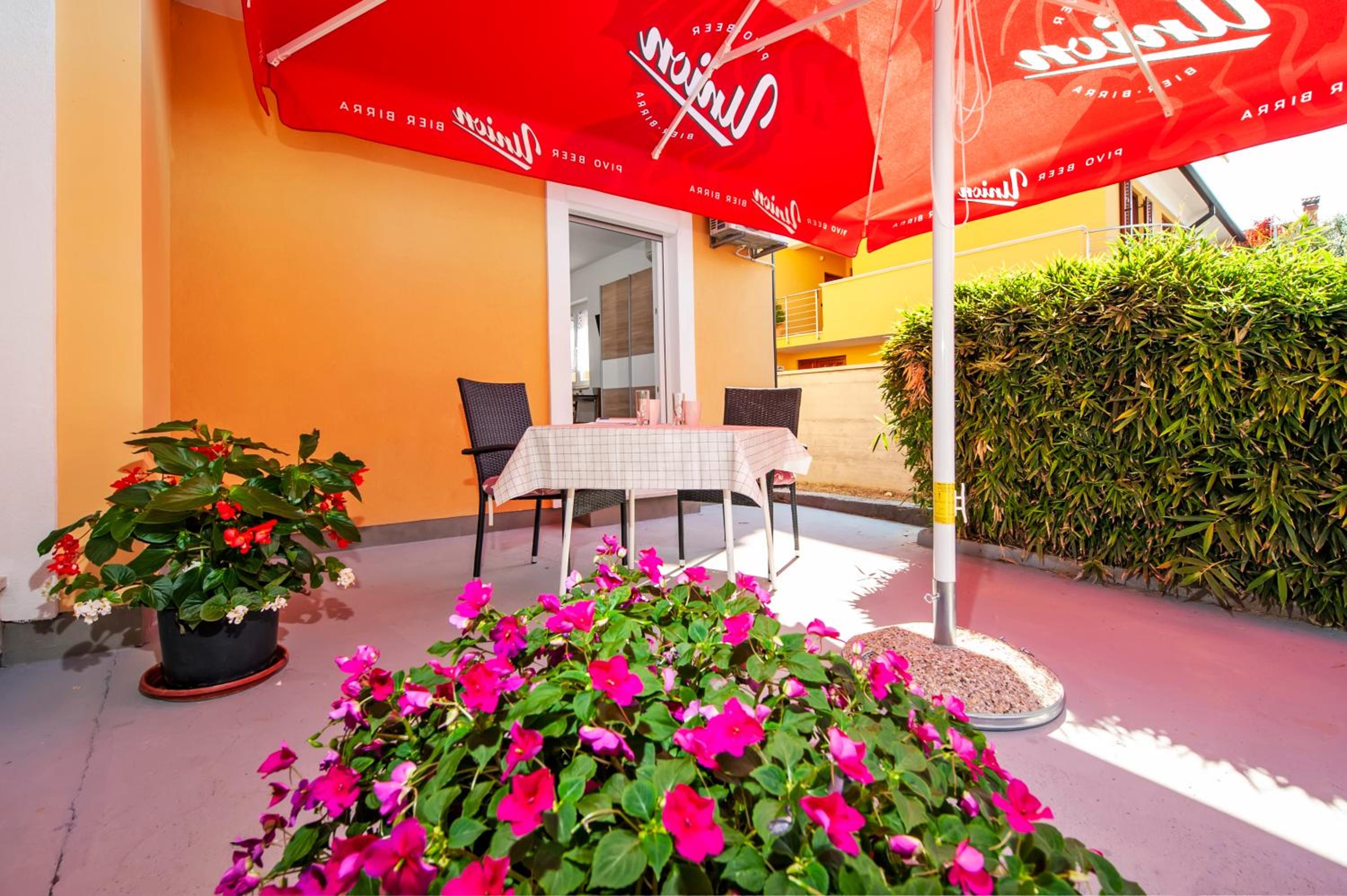 Studio Istra