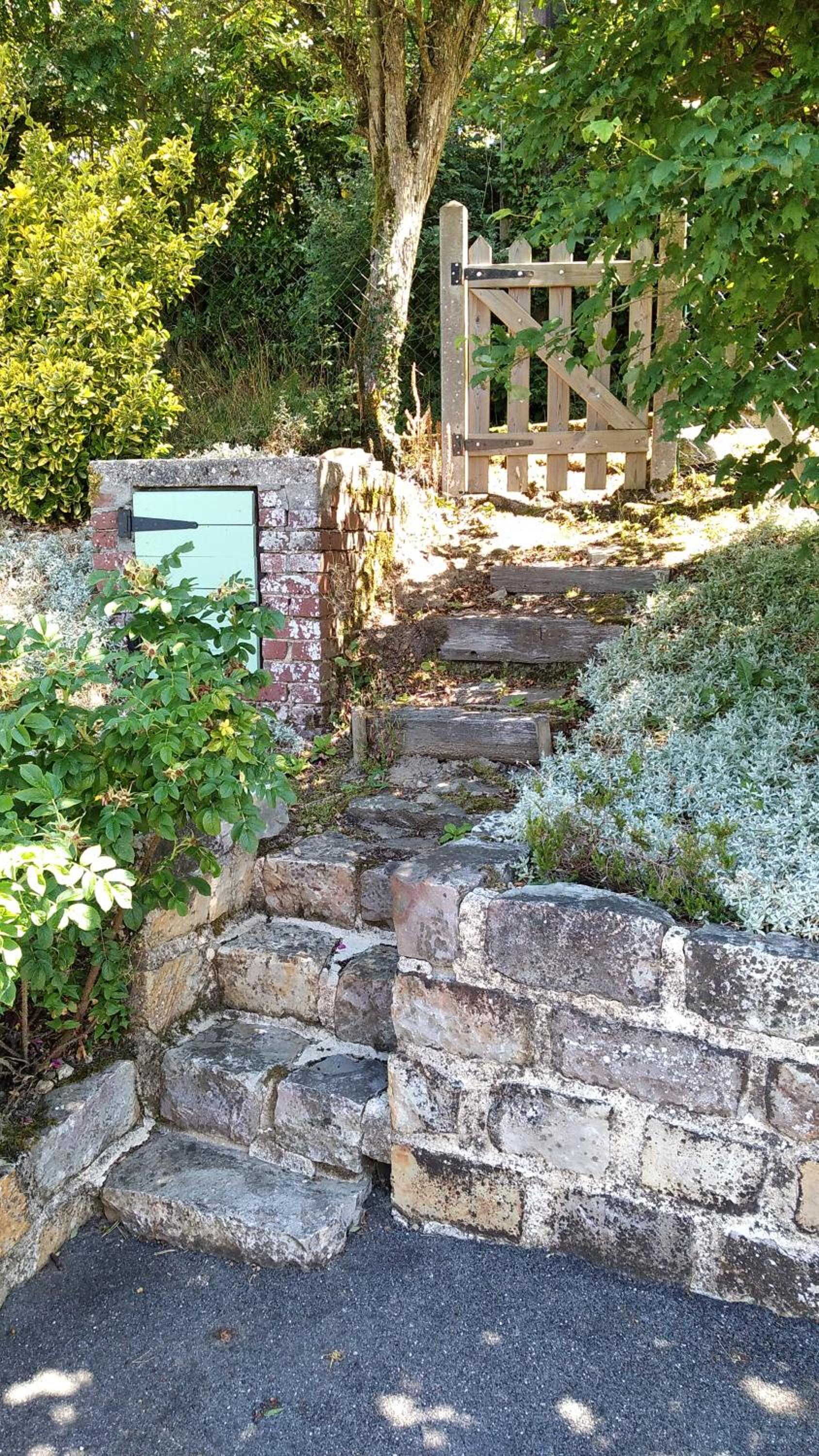 Photo 8
