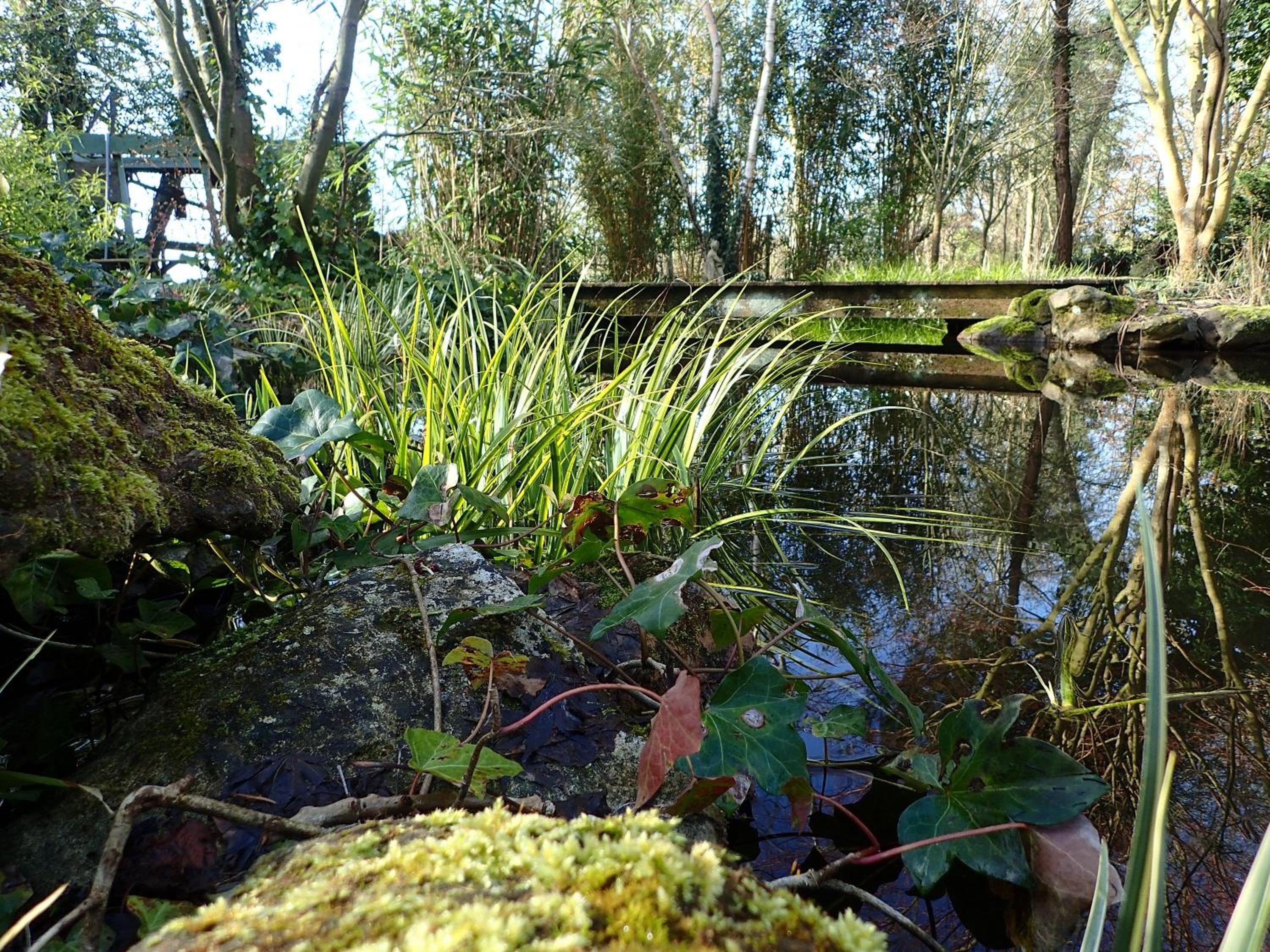 Photo 43