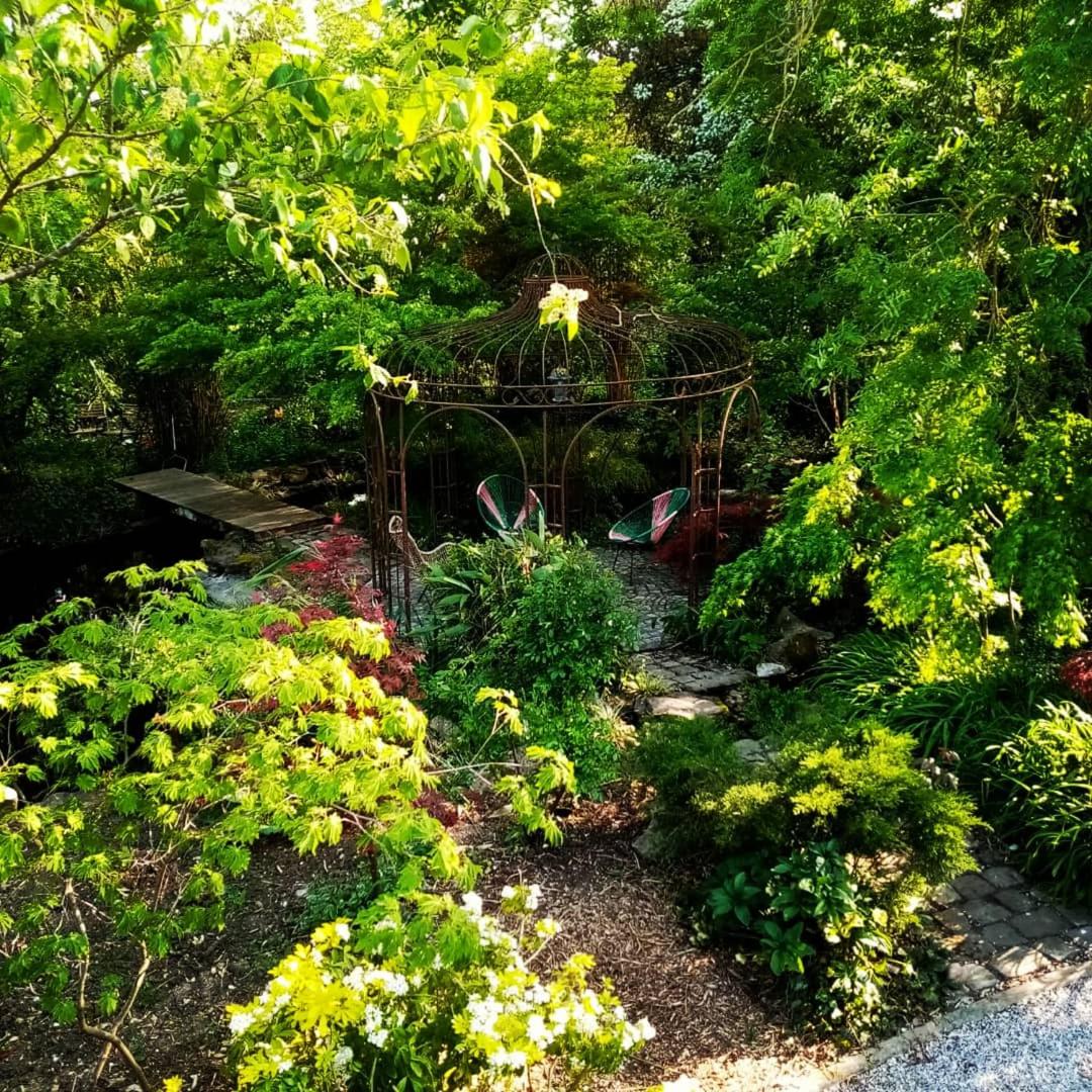 Photo 45