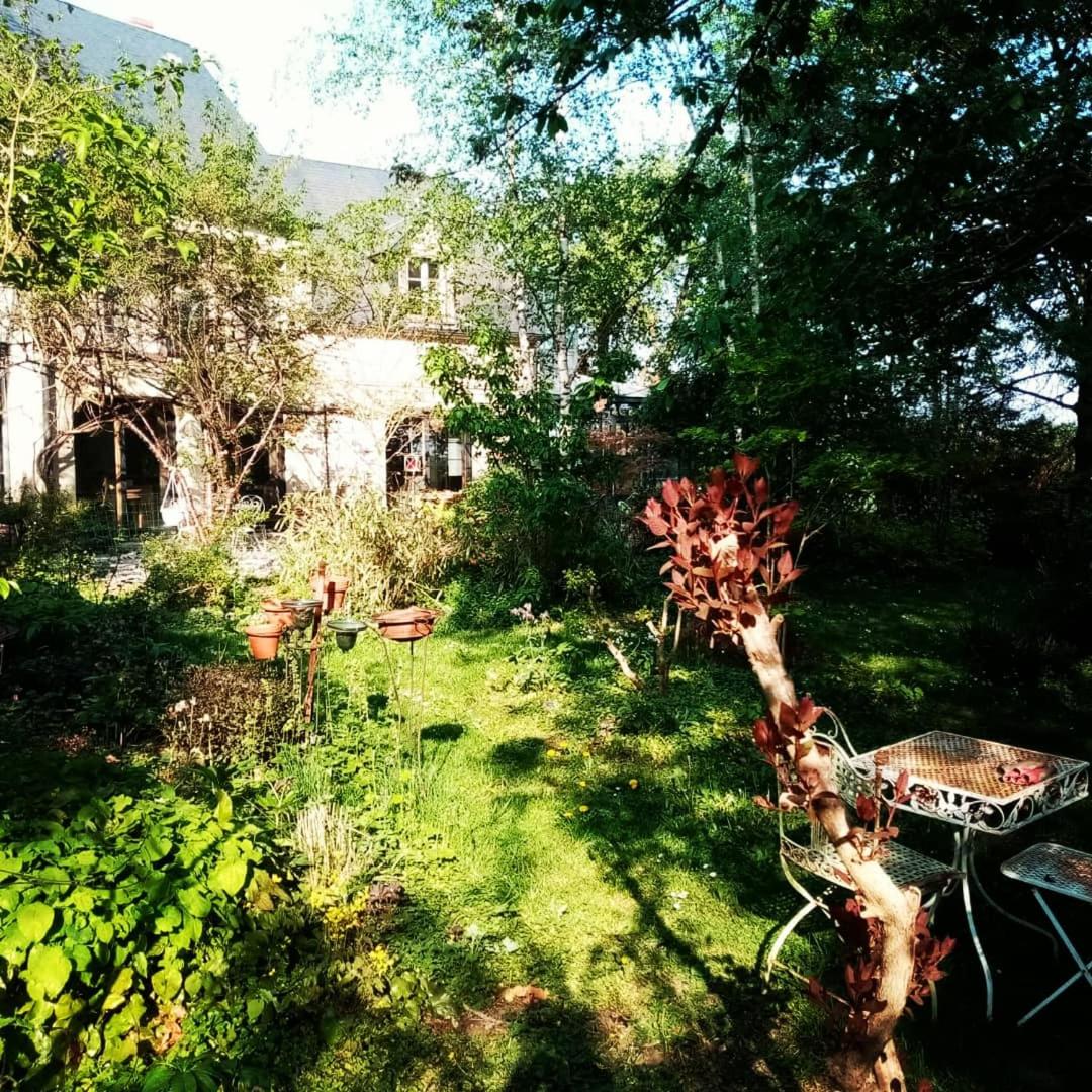 Photo 52