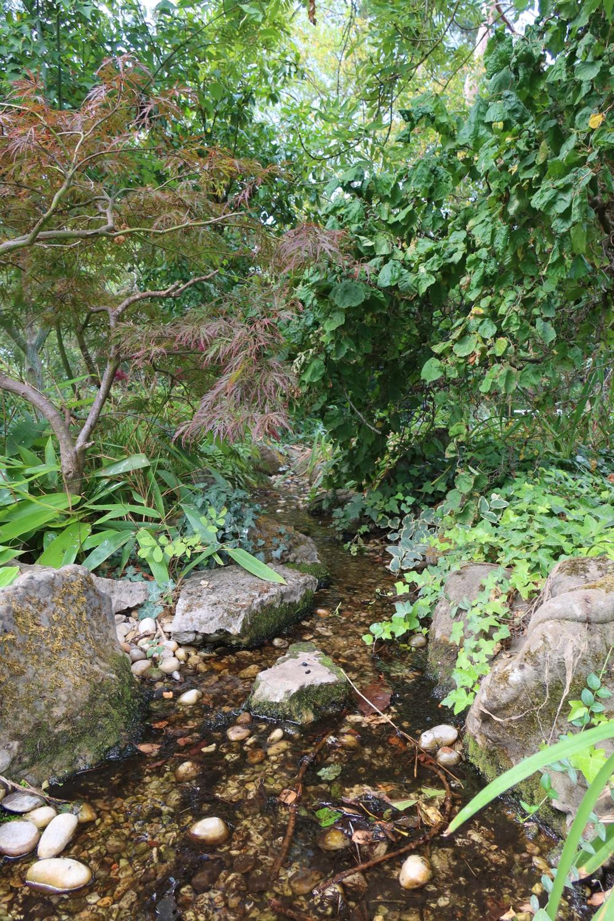 Photo 65