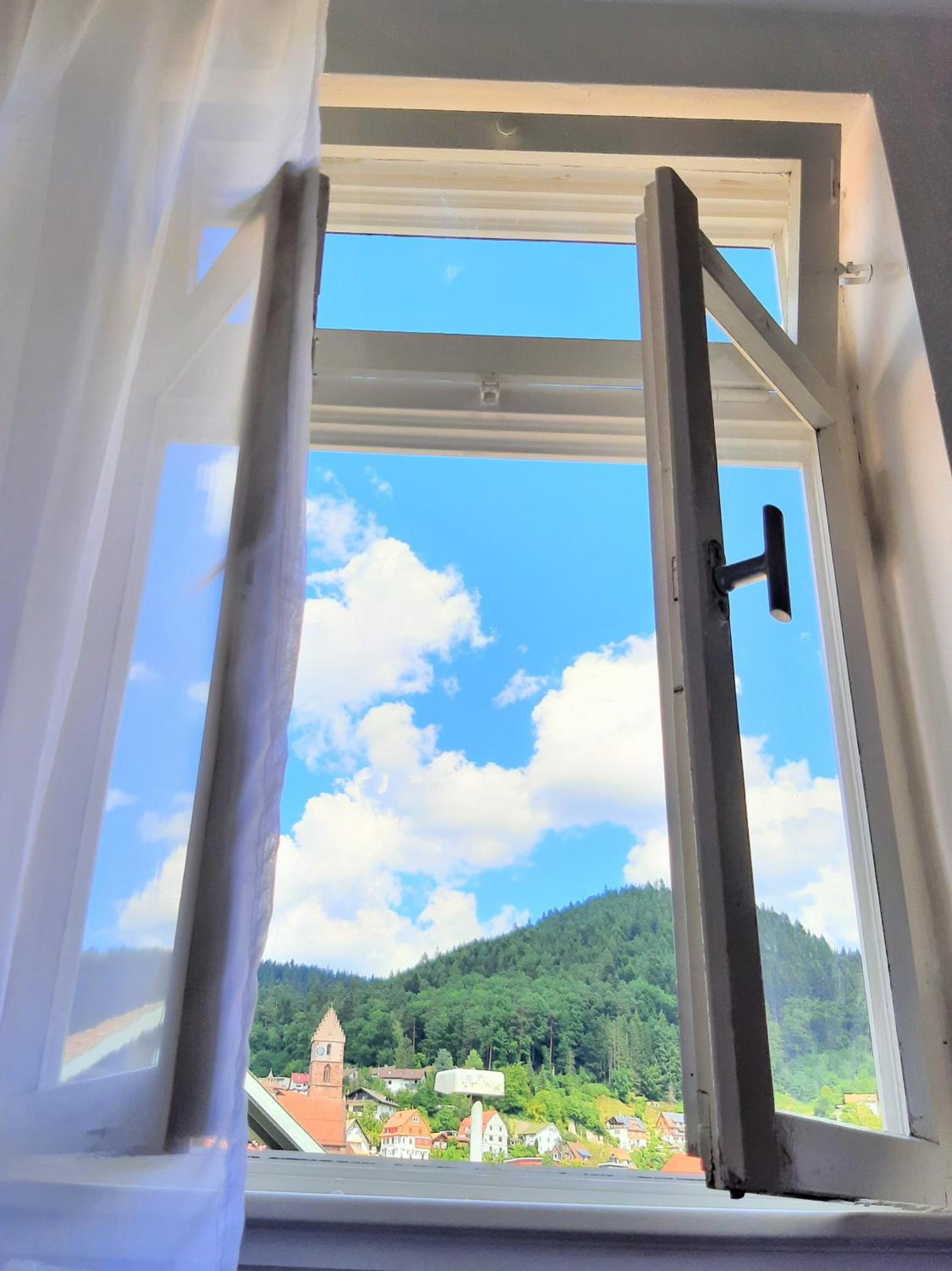 Meisterhaus Alpirsbach Wohnung OG view 3