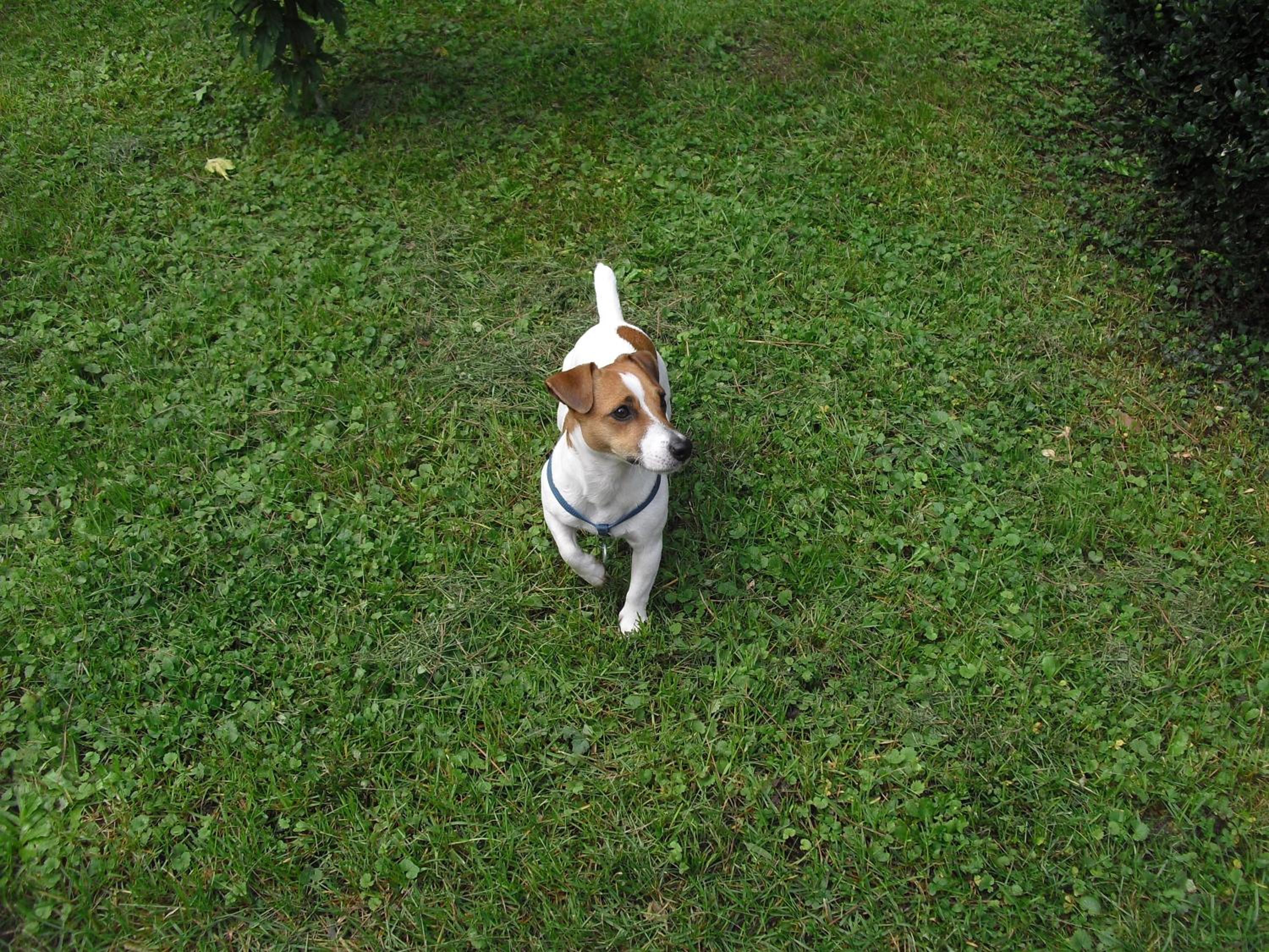 Photo 22