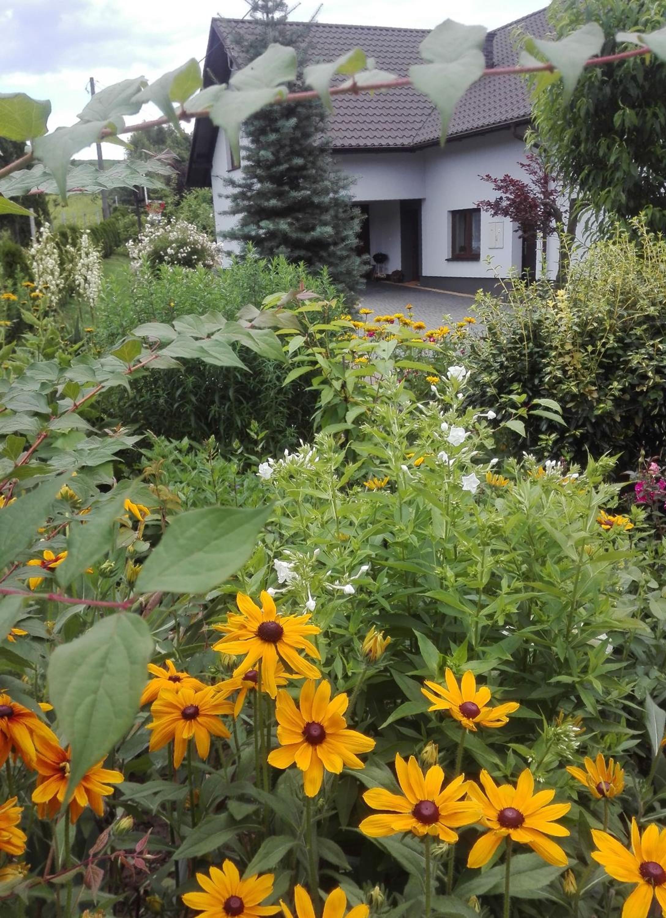Apartament Leszczynowa 7 blisko Zatora view 4