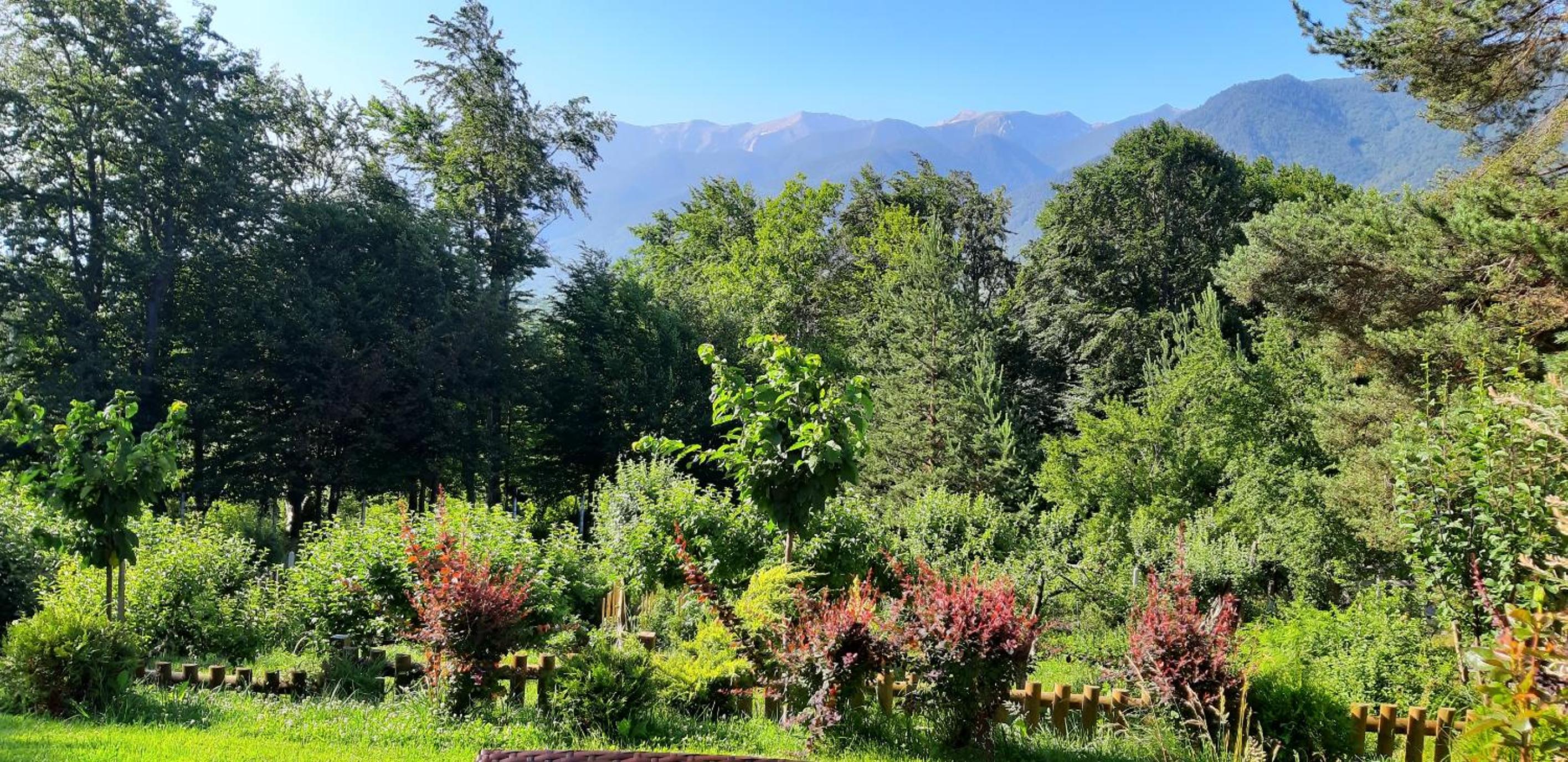 Villa Saint George