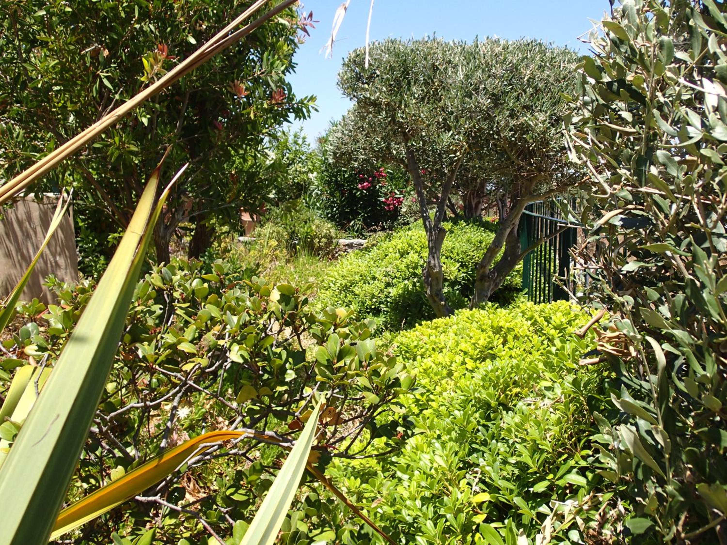 Villa Gata photo 2
