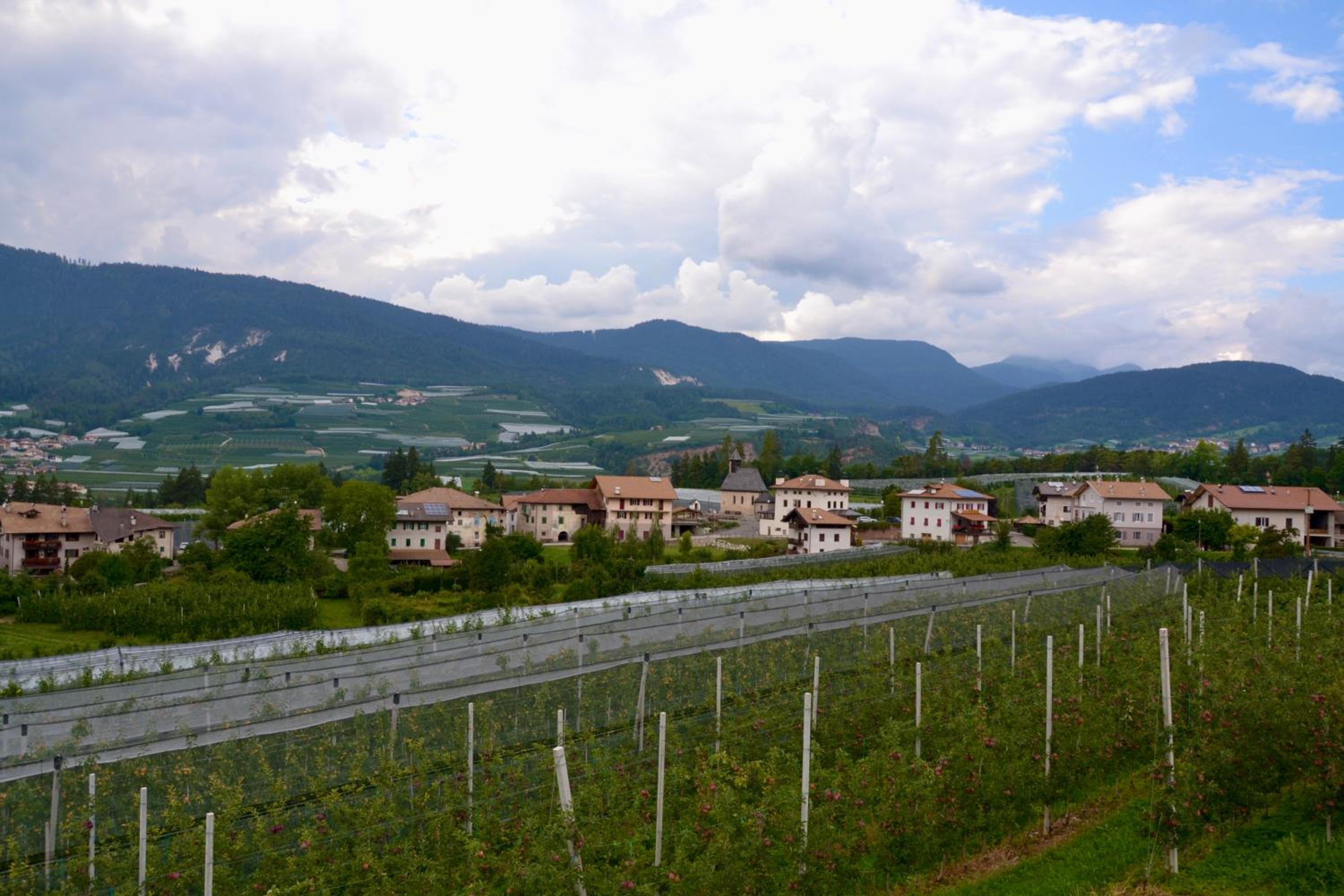 Agritur Fiore