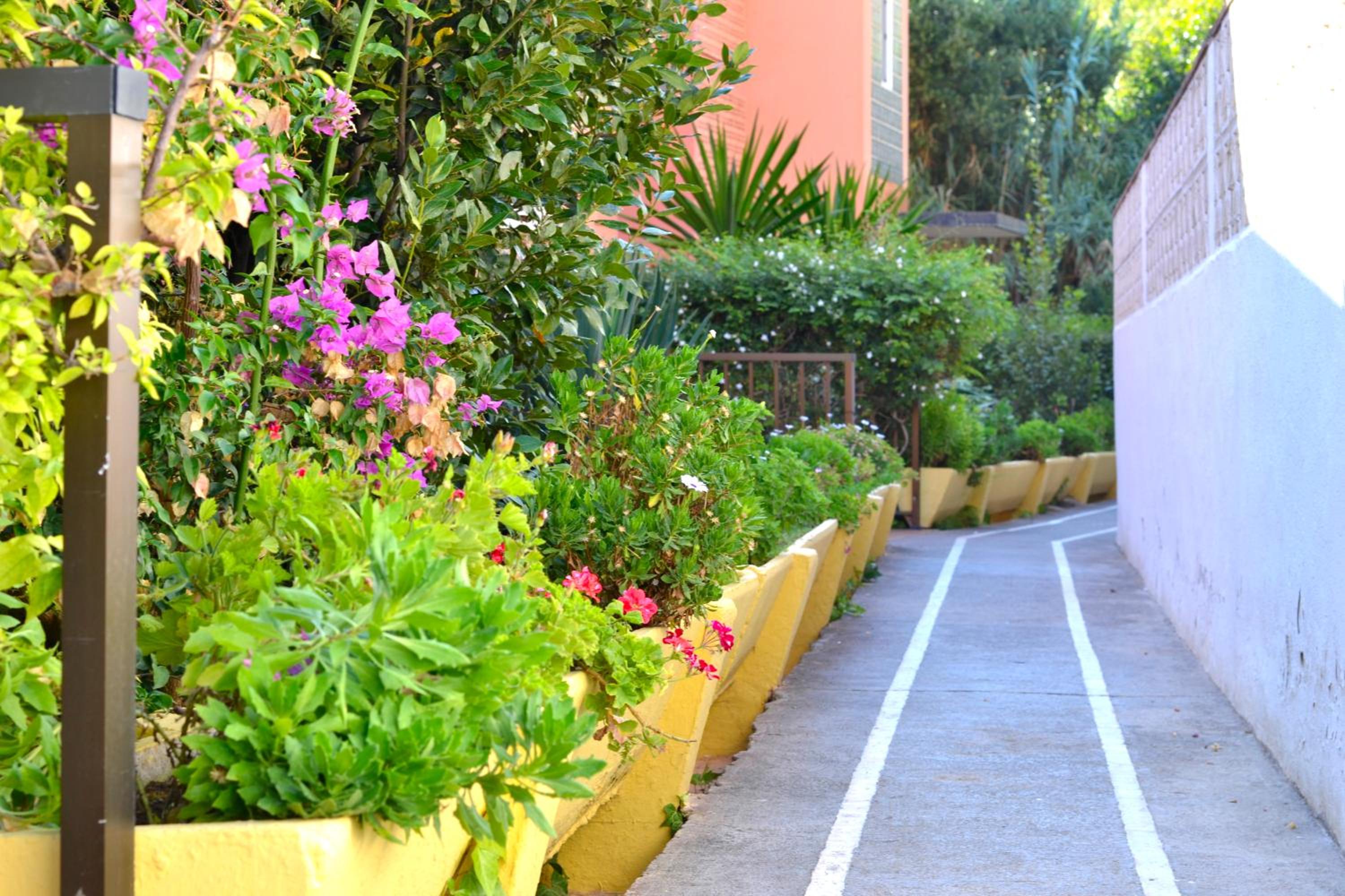 El Encanto photo 4