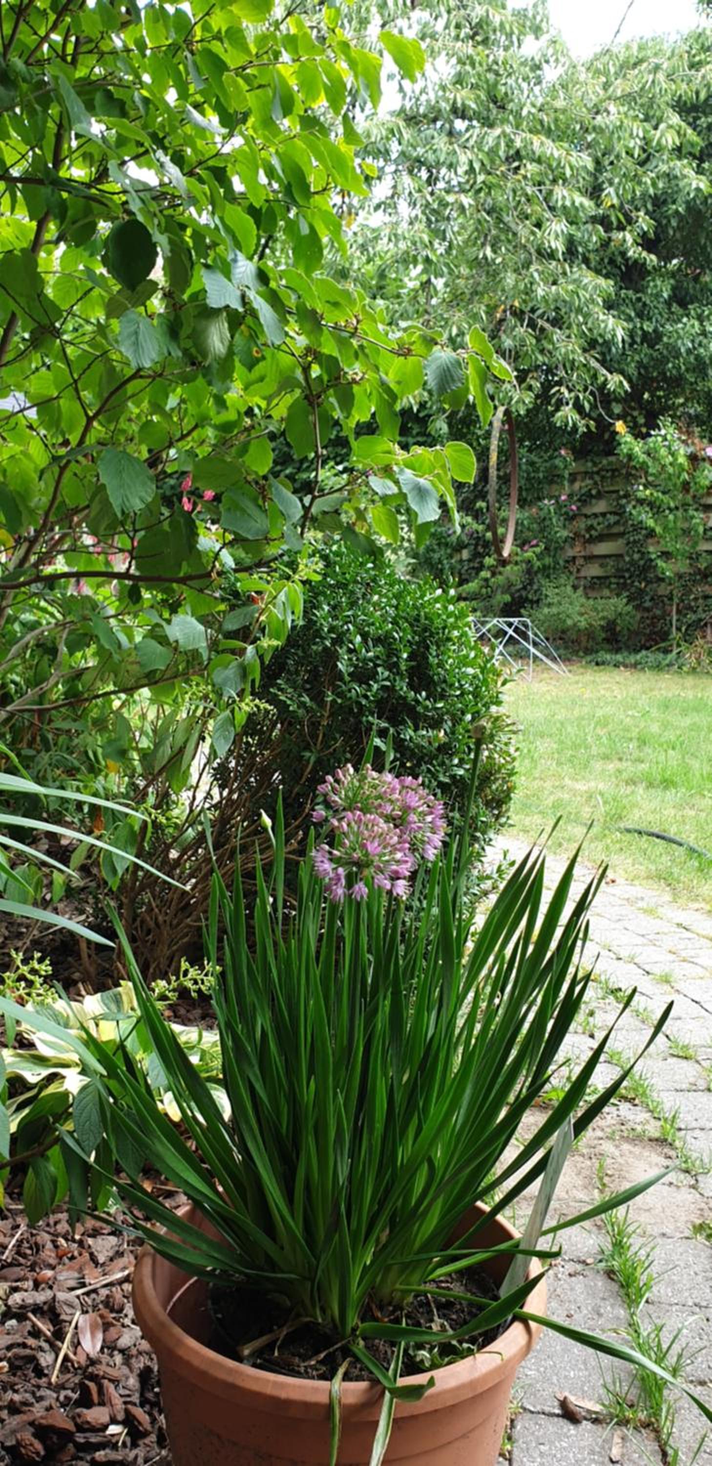 Inblauw - Exclusive Wellness B&B
