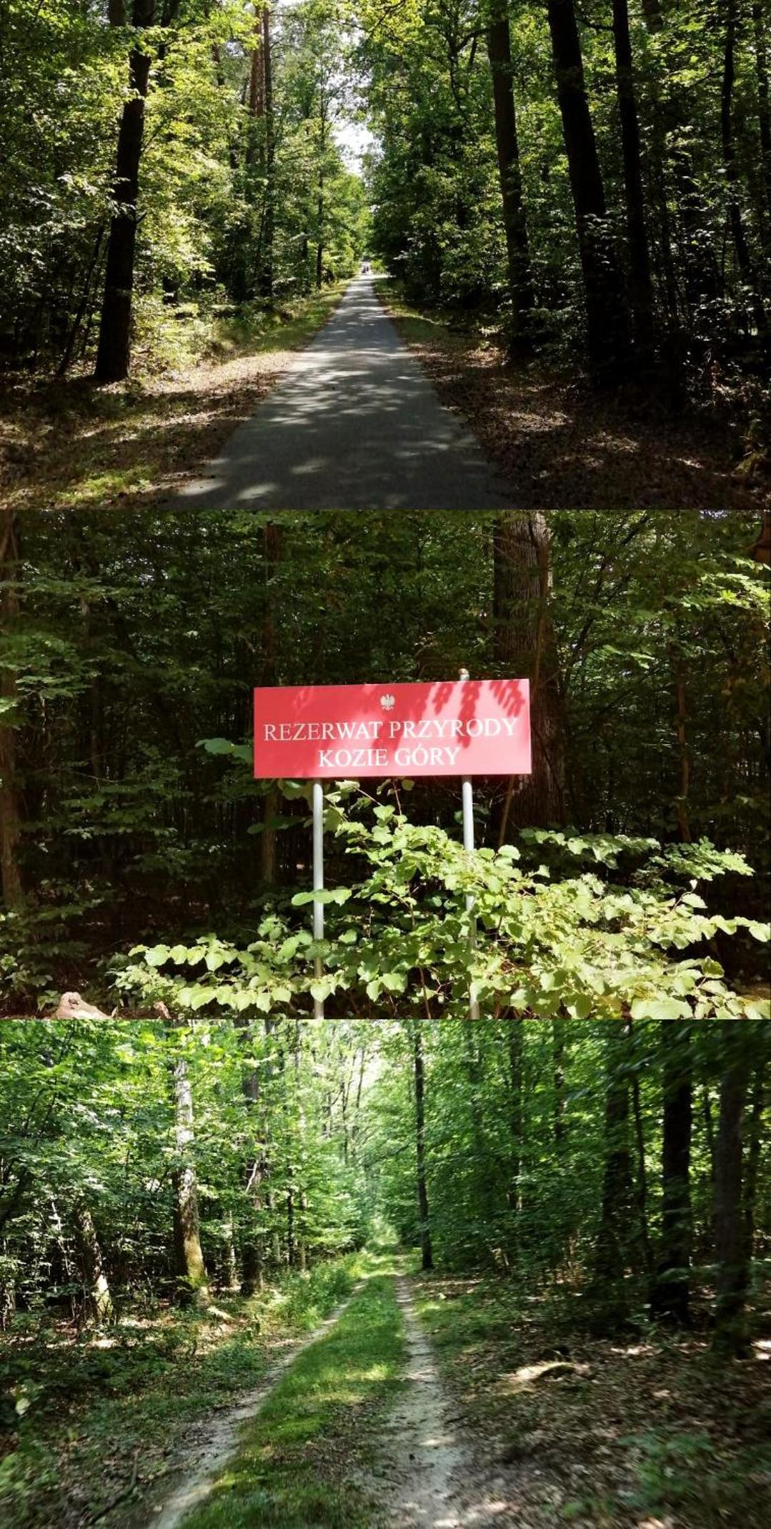 Agroturystyka u Izabelli
