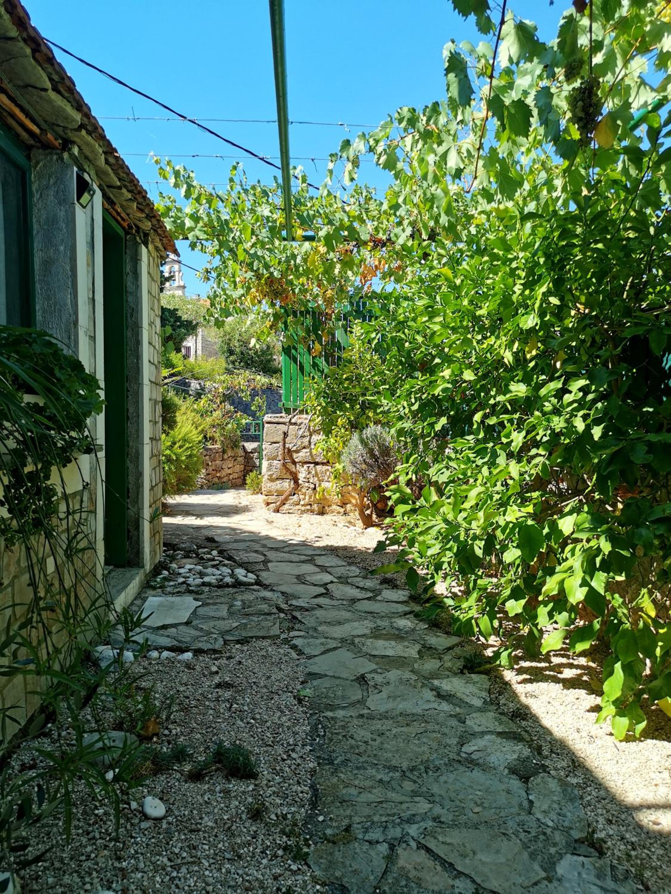 Photo 28
