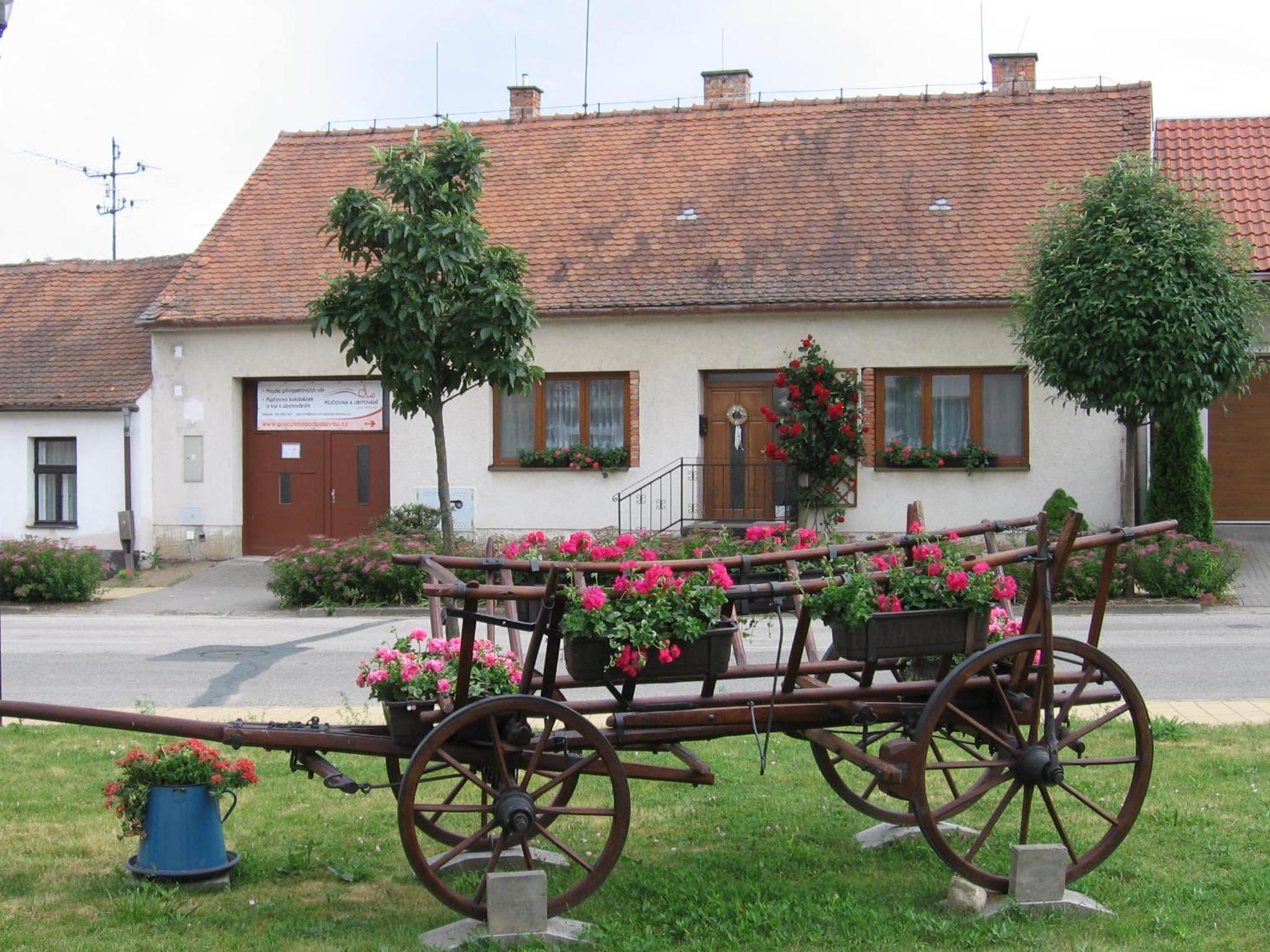 Photo 42