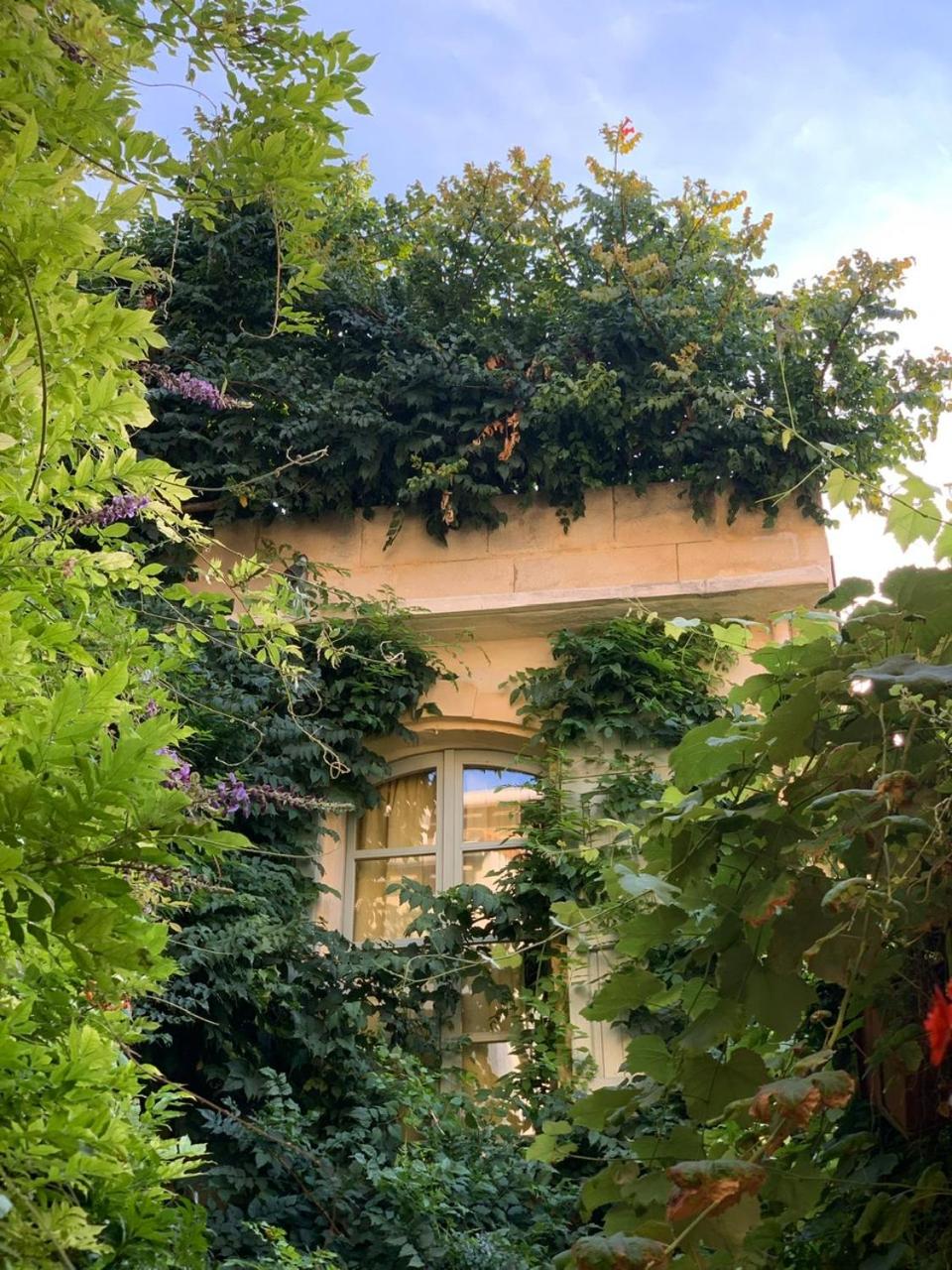 Le Patio d'Arles