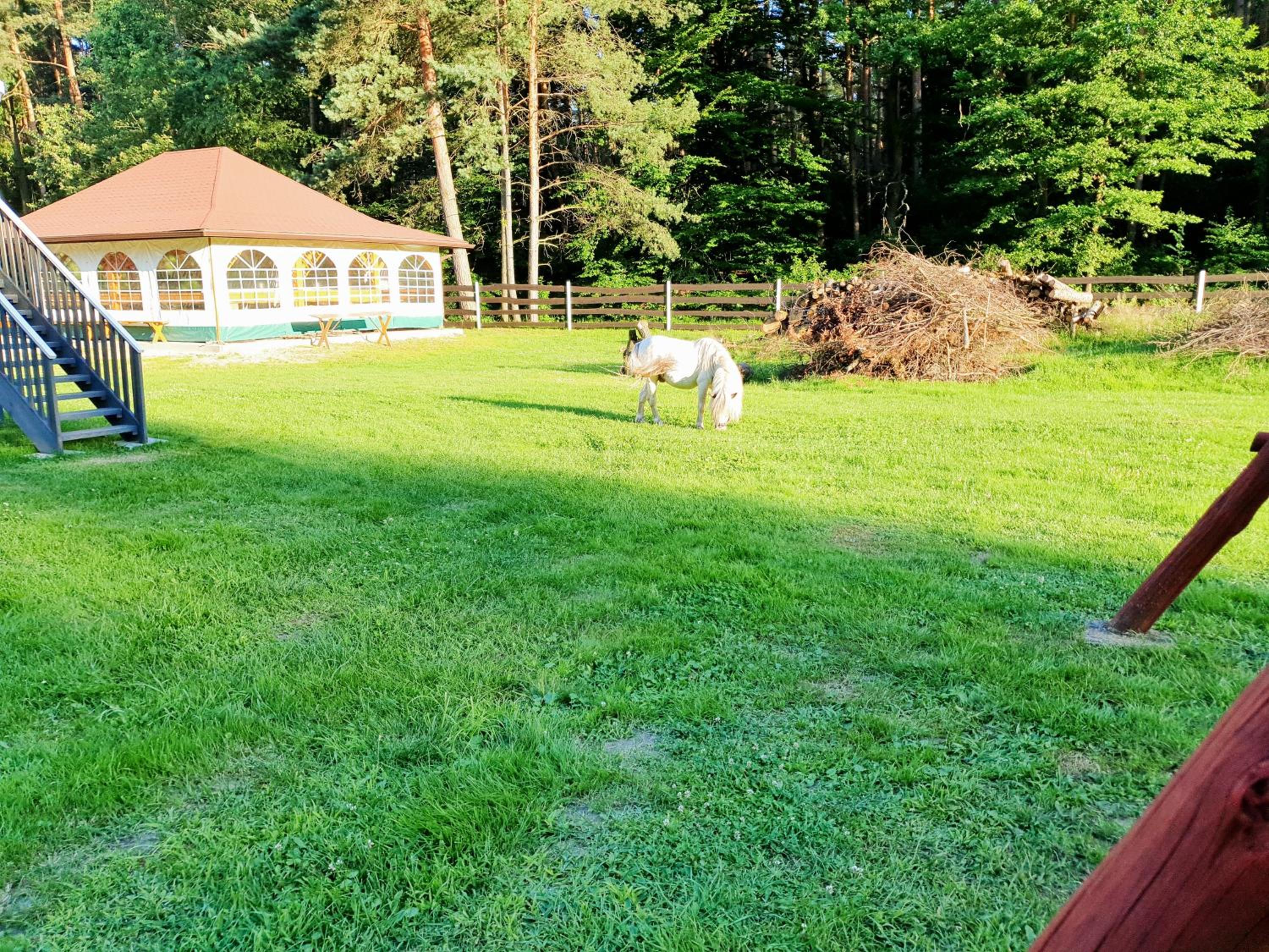 children's play area