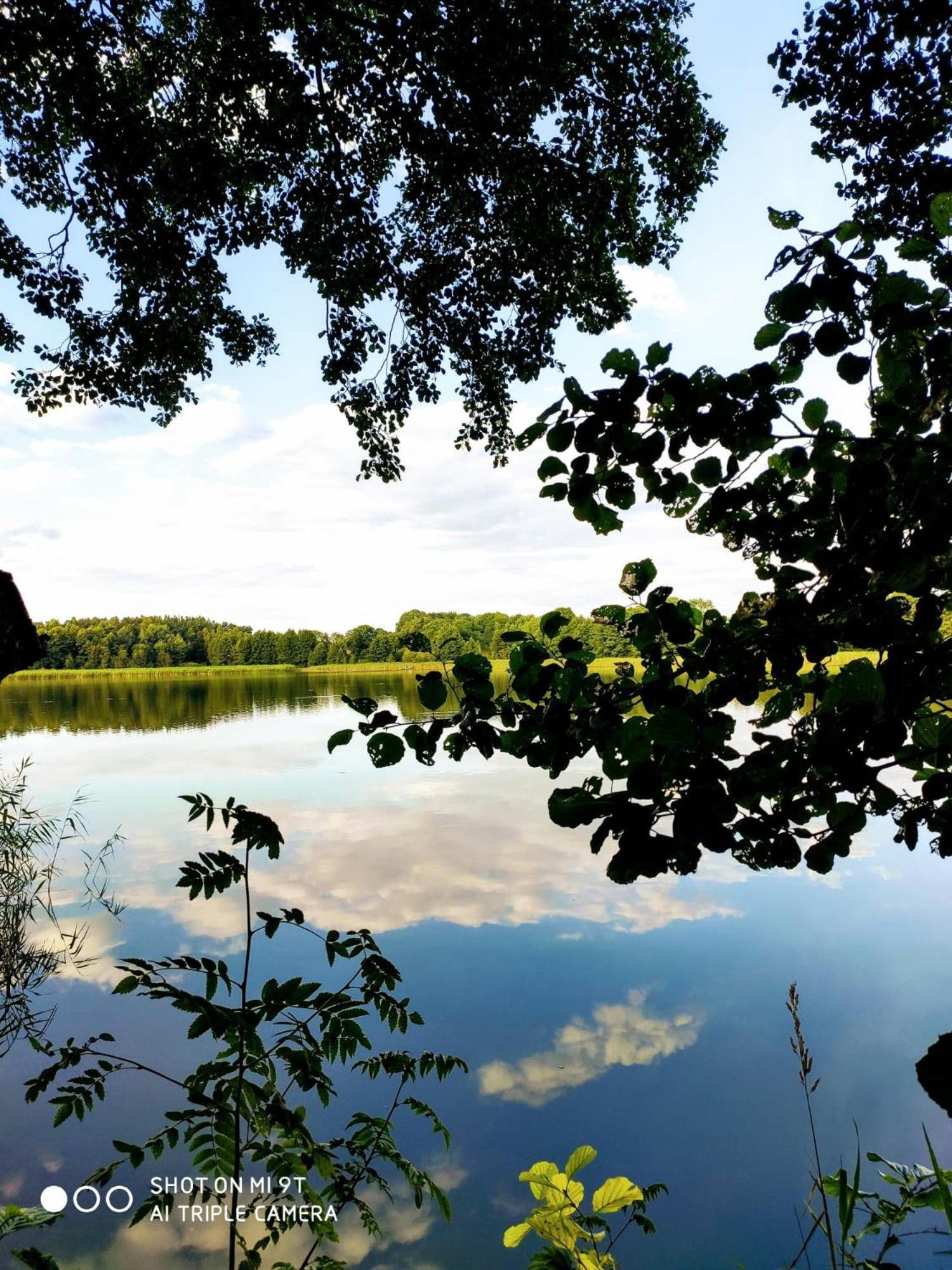 Villa Grunwald view 4
