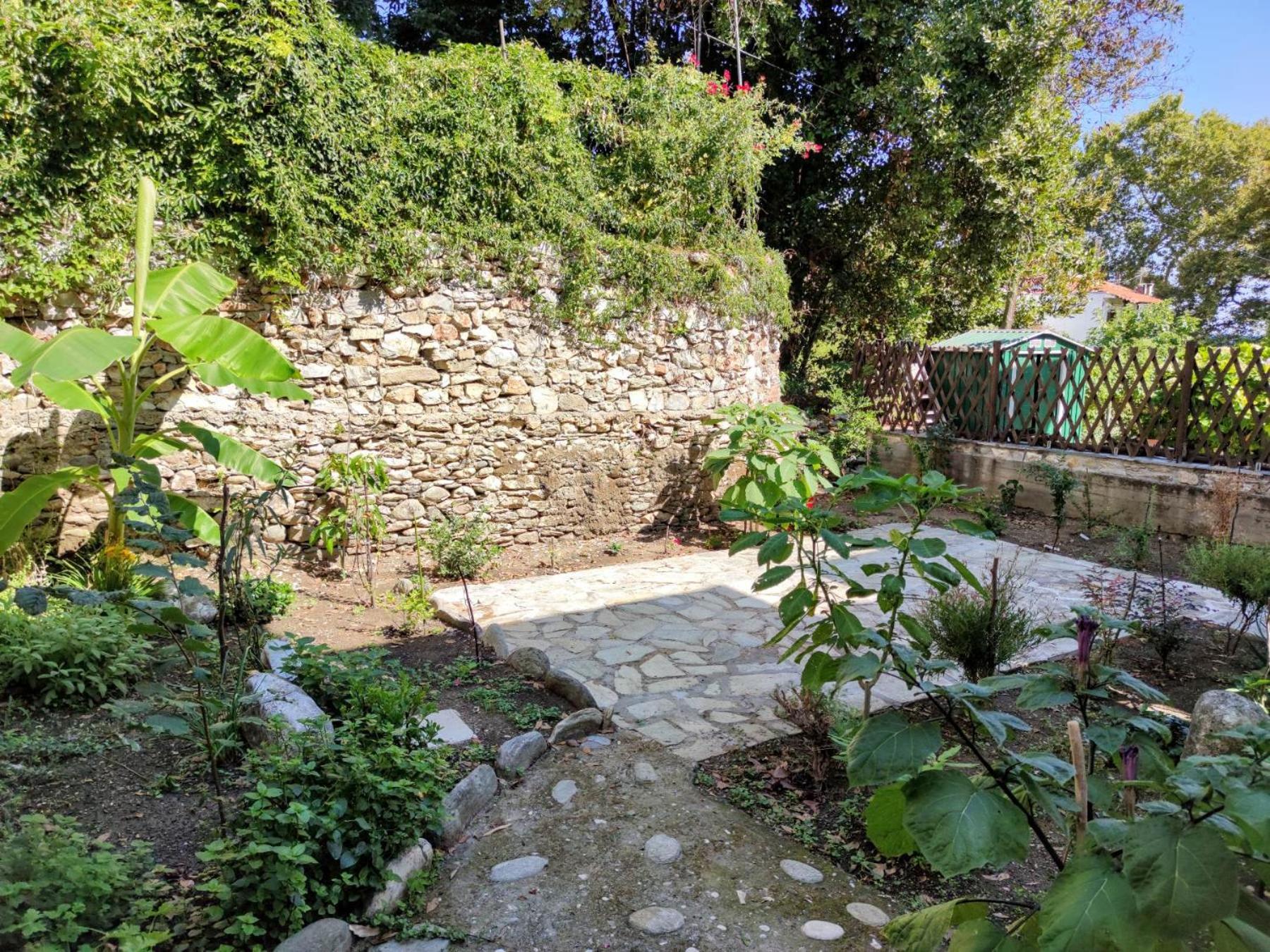 Photo 19
