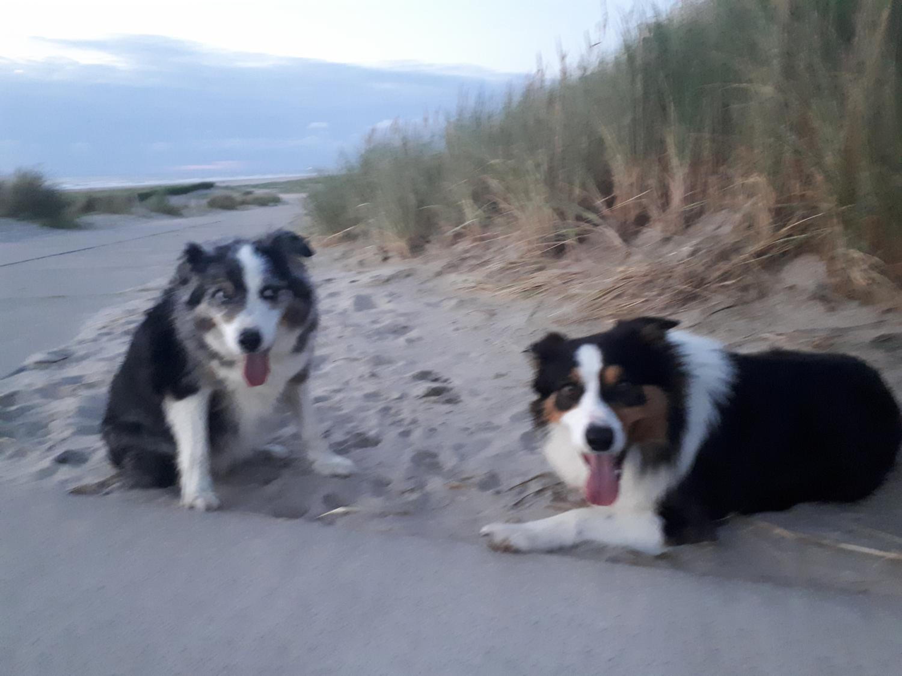 Studio vlak bij het strand view 5