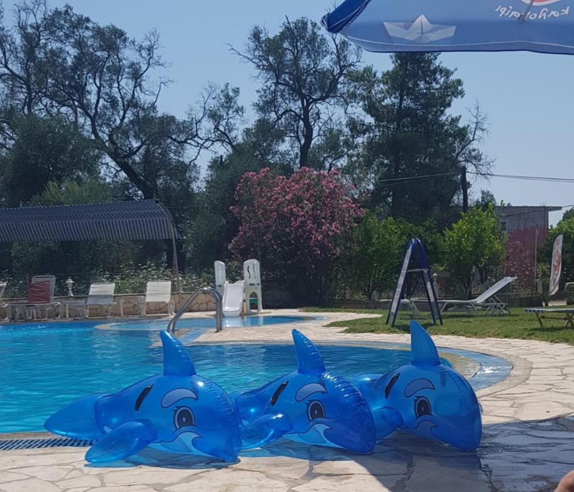 Pension Nychterida photo 5