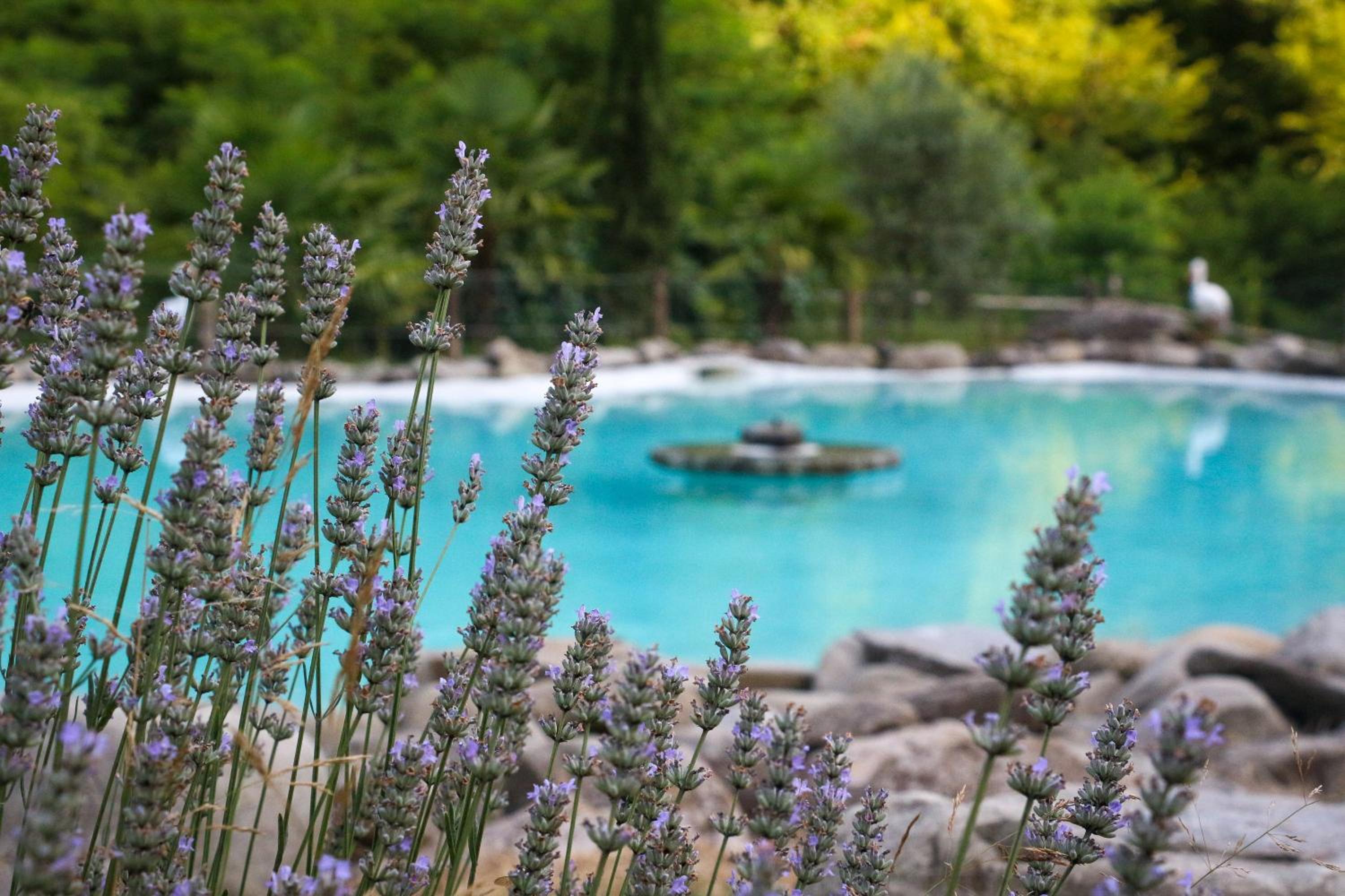 OASI LIGNANA Apartments