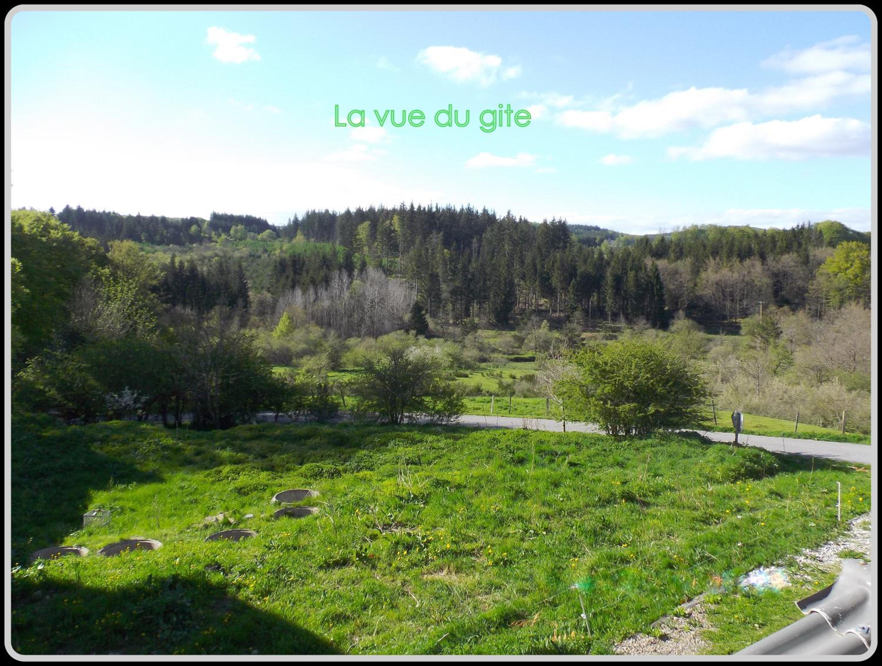 Photo 51