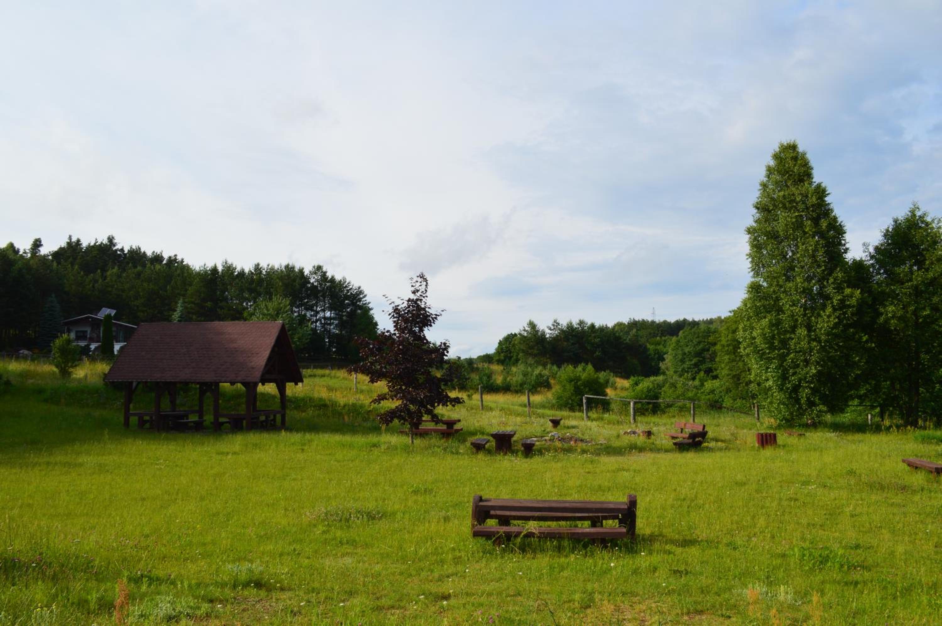 Photo 26