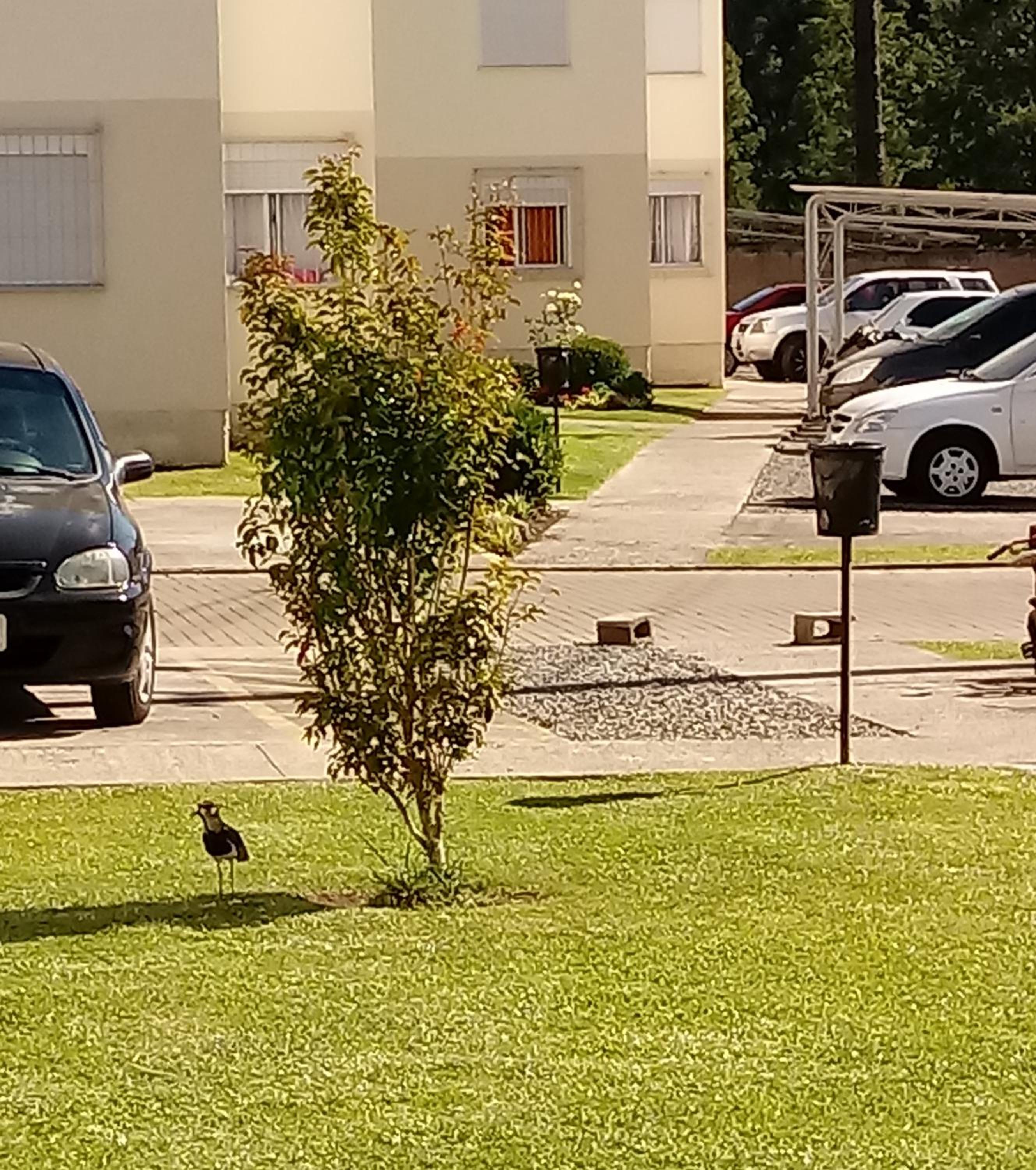 Photo 25