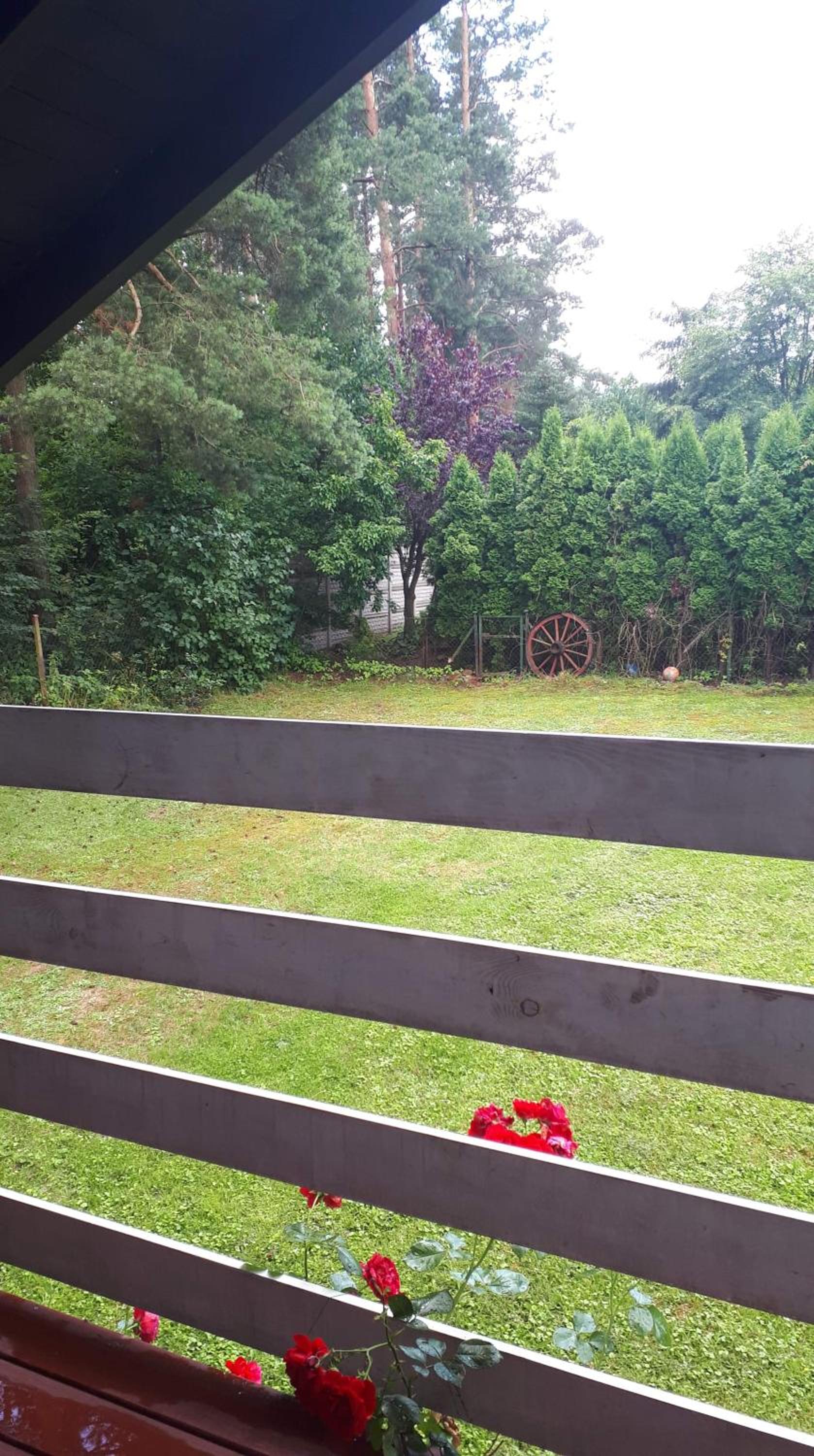 Dom w Gaju nad jeziorem Dębno view 4