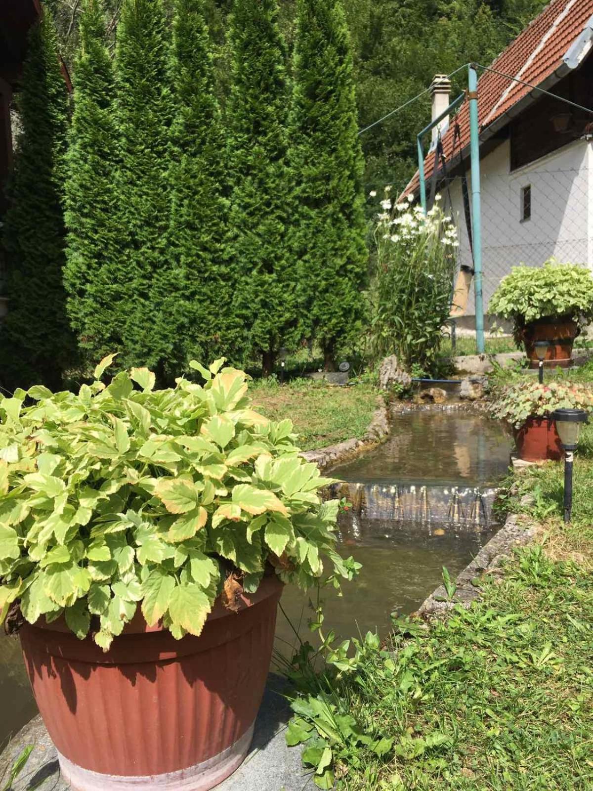 Domacinstvo Ubovic