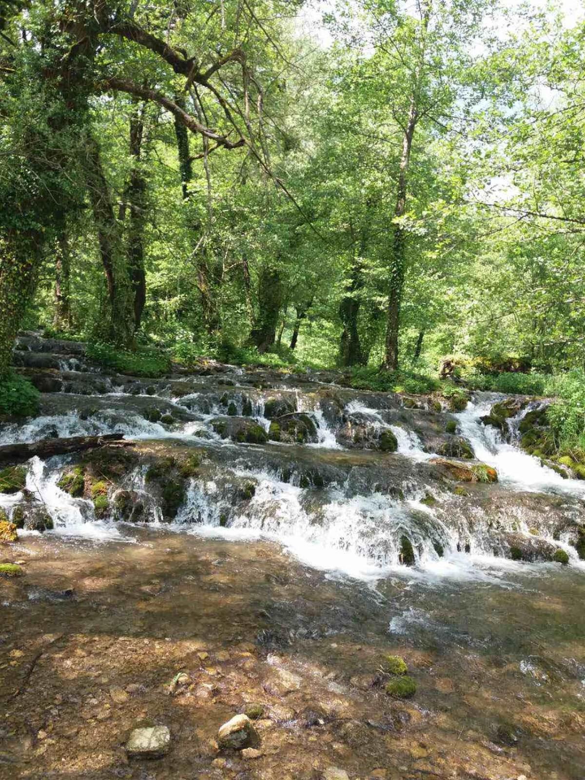 Domacinstvo Ubovic