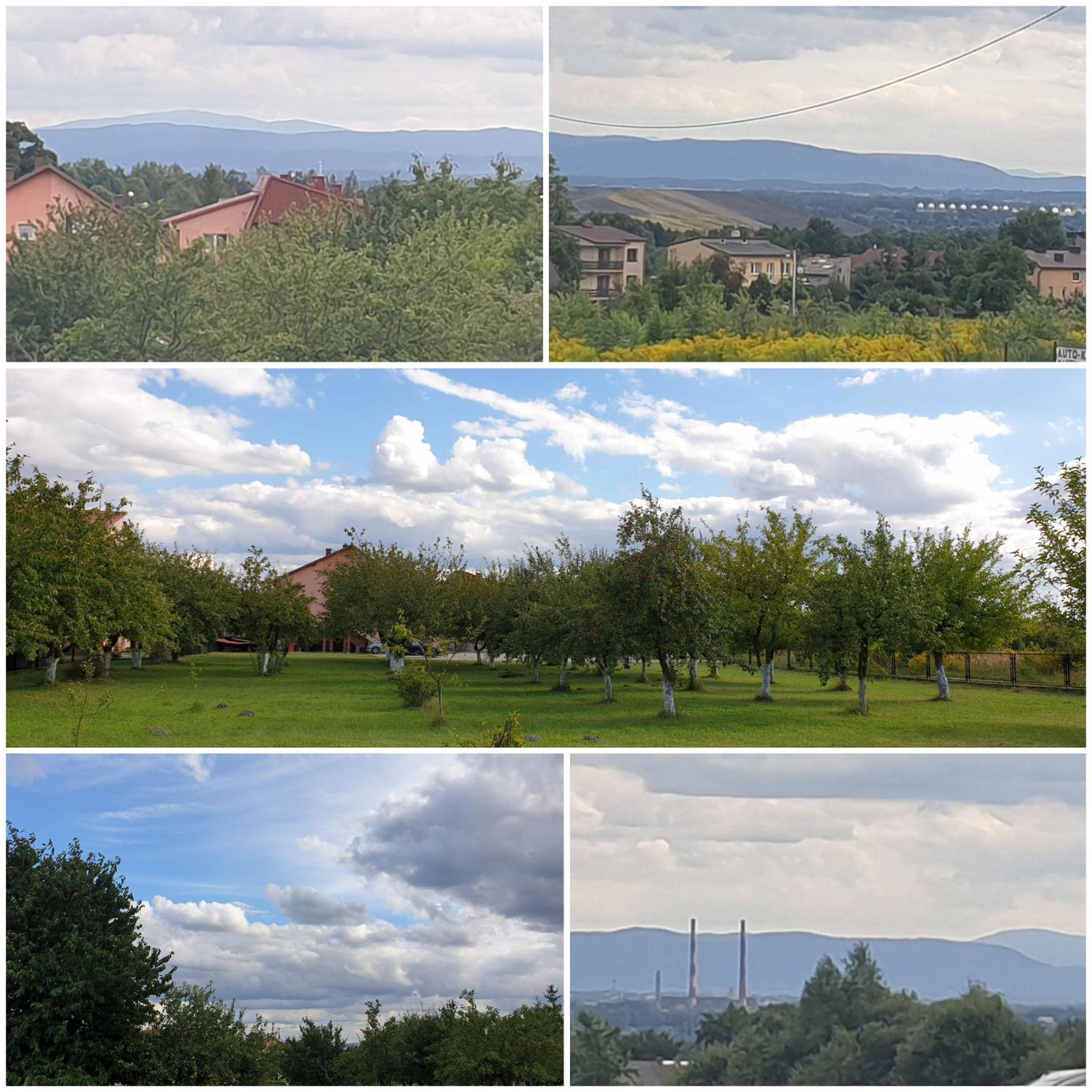 Wynajem Pokoi dla Firm view 4