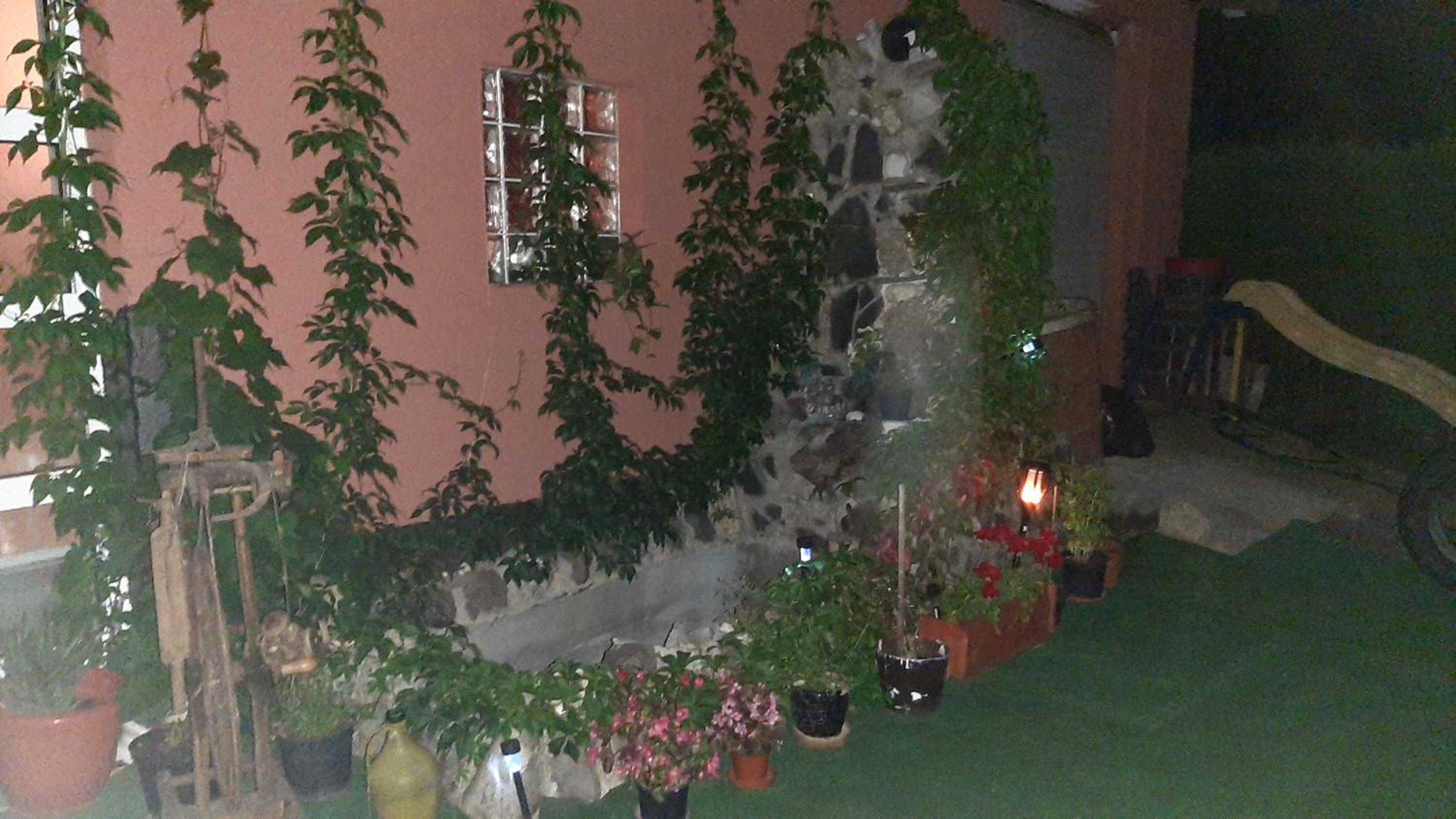 Photo 38