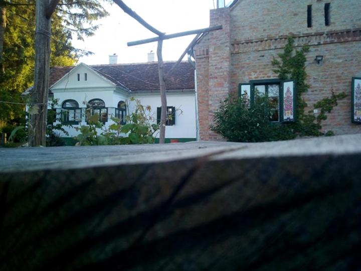 ÖregFenyő Porta Őrség-Magyarszombatfa view 4
