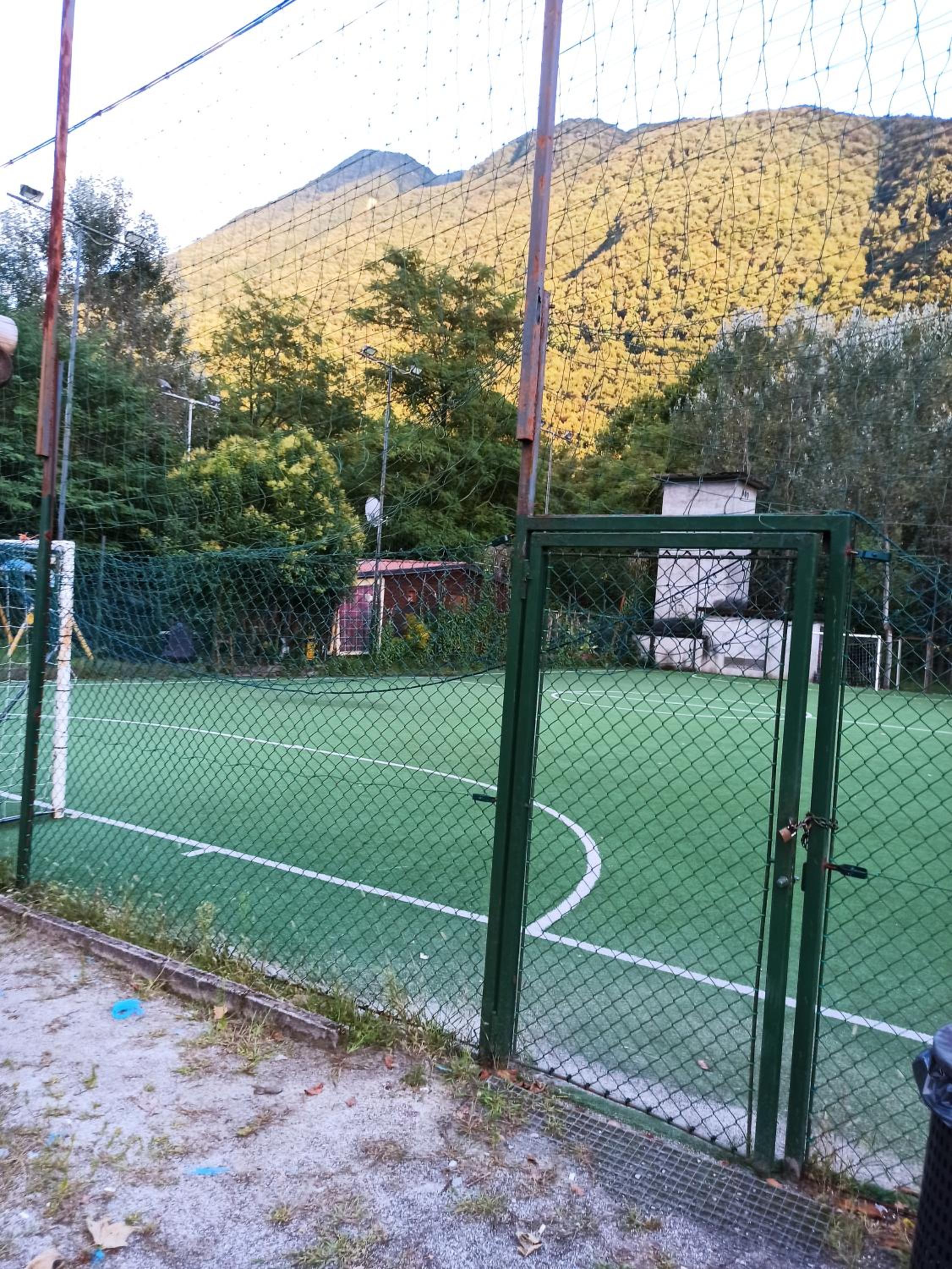 Photo 44