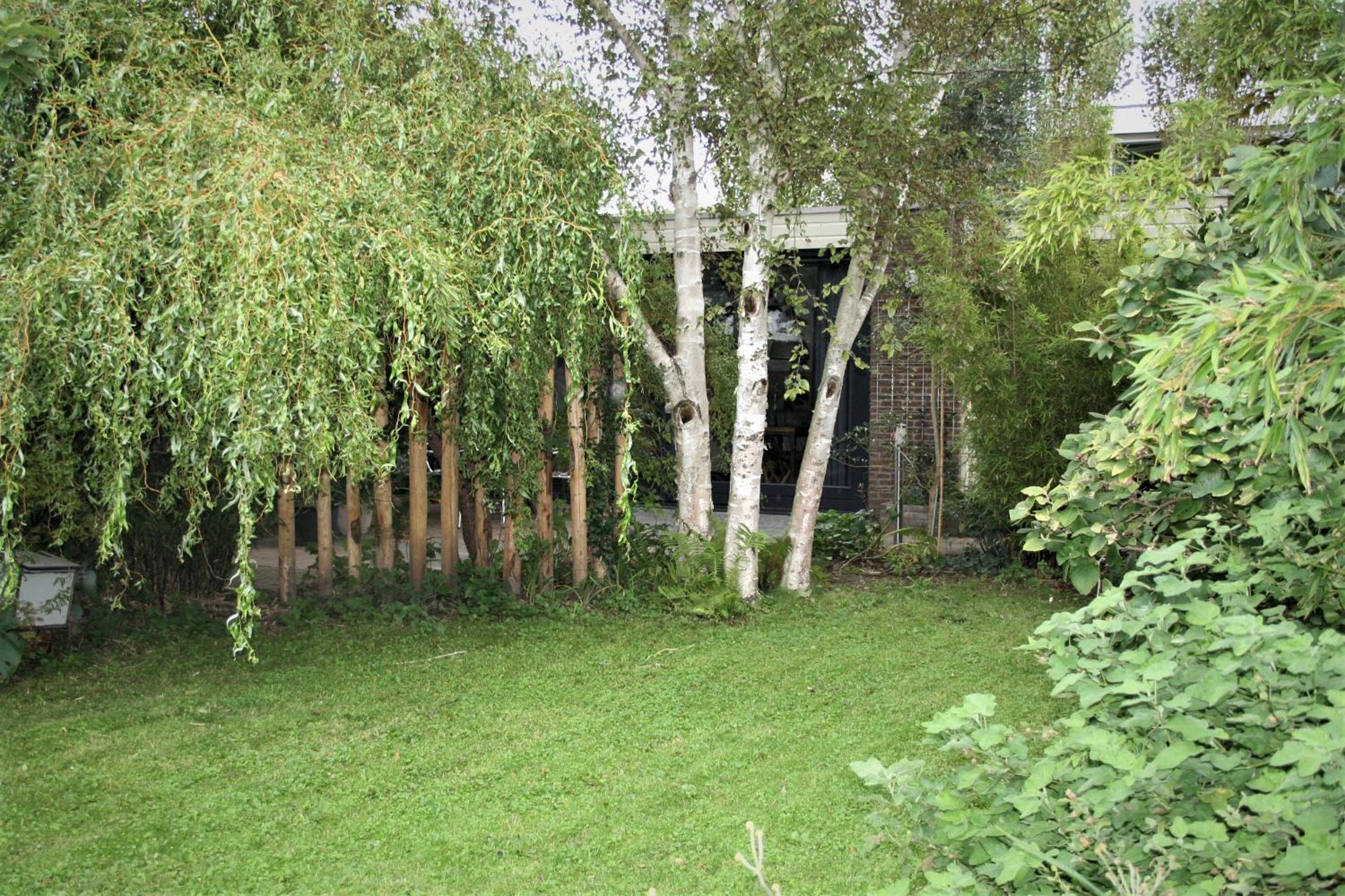 B&B behind the tree