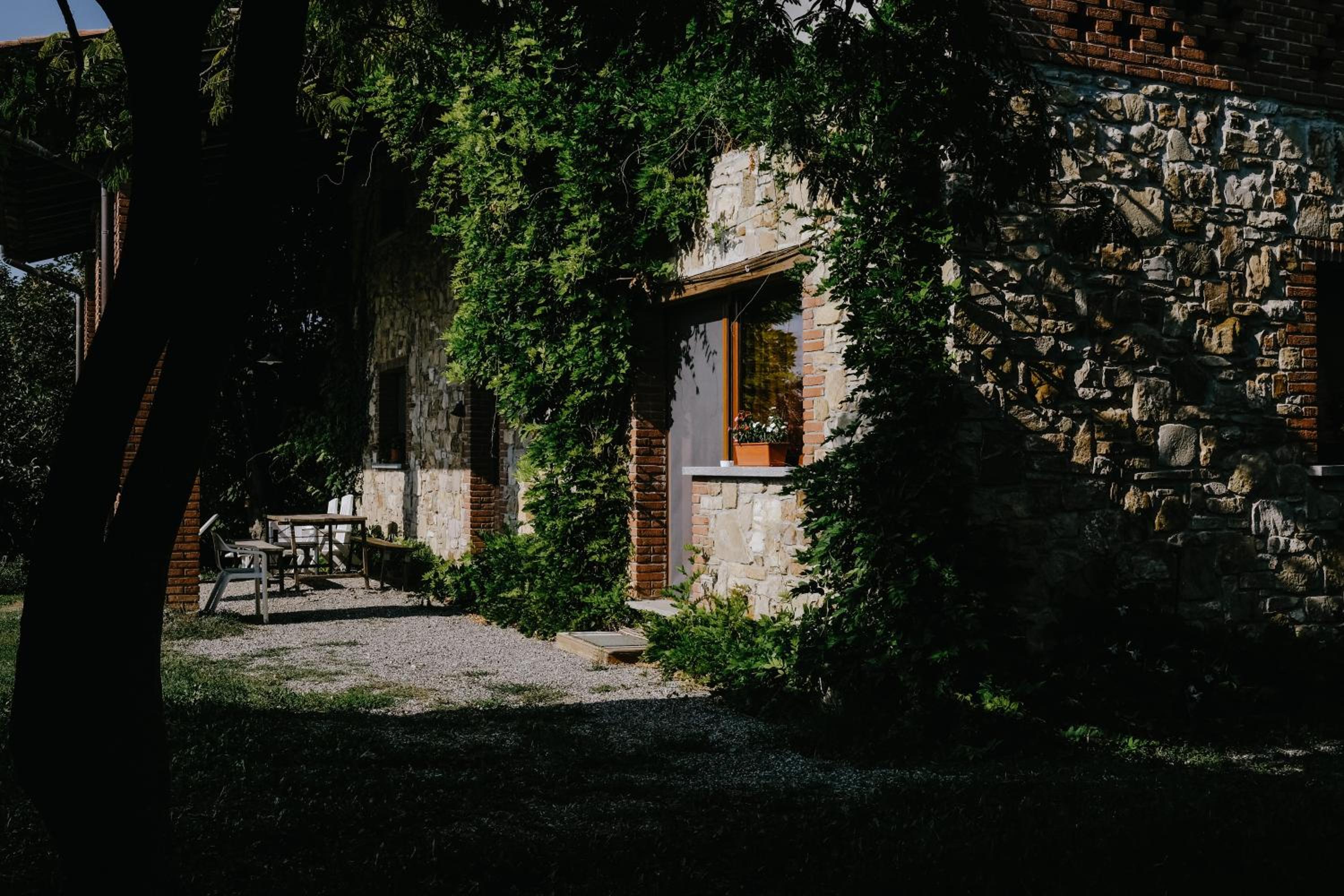 Photo 25