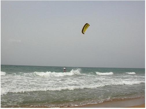 Photo 44
