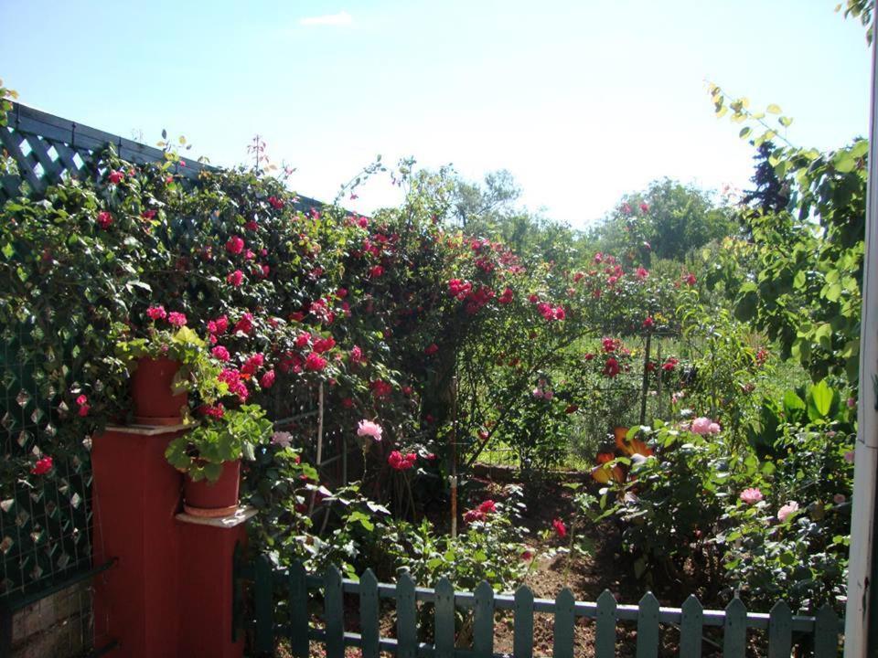 Photo 42