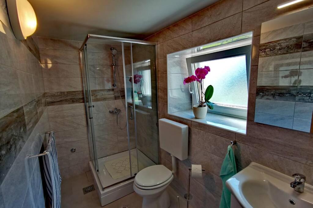 Apartma Sašo view 5