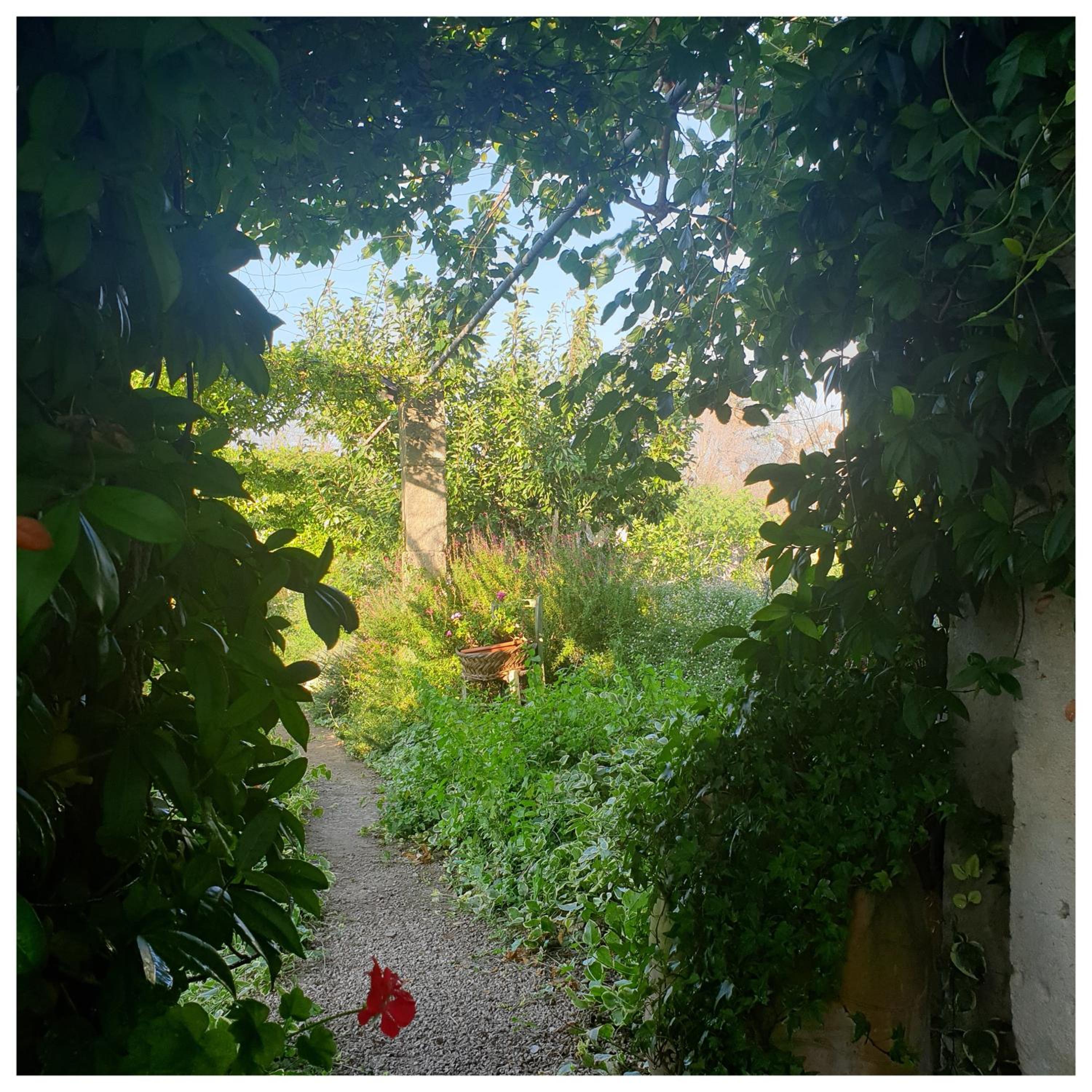 B&B Il giardino ritrovato view 5