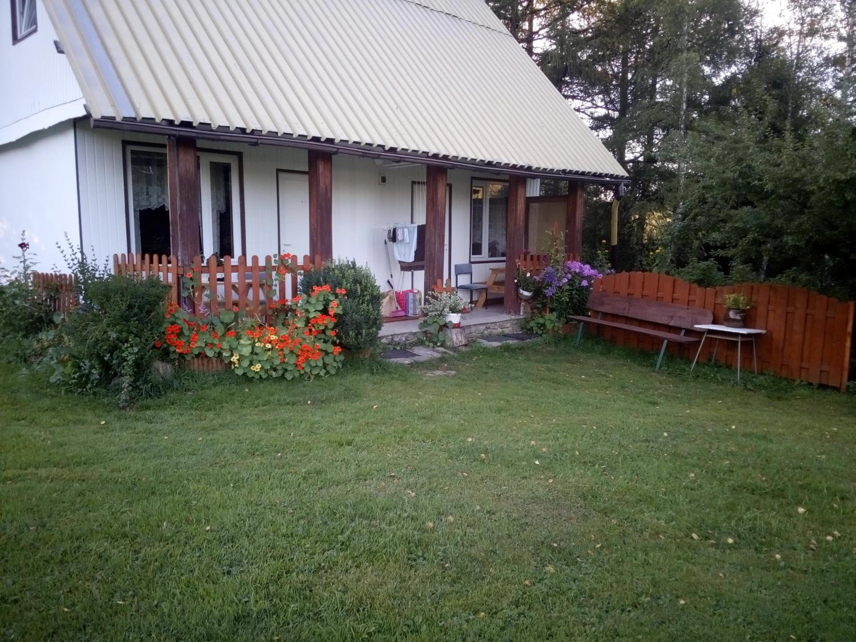 Photo 12