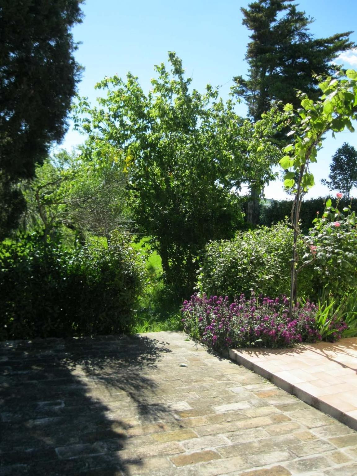 Photo 24