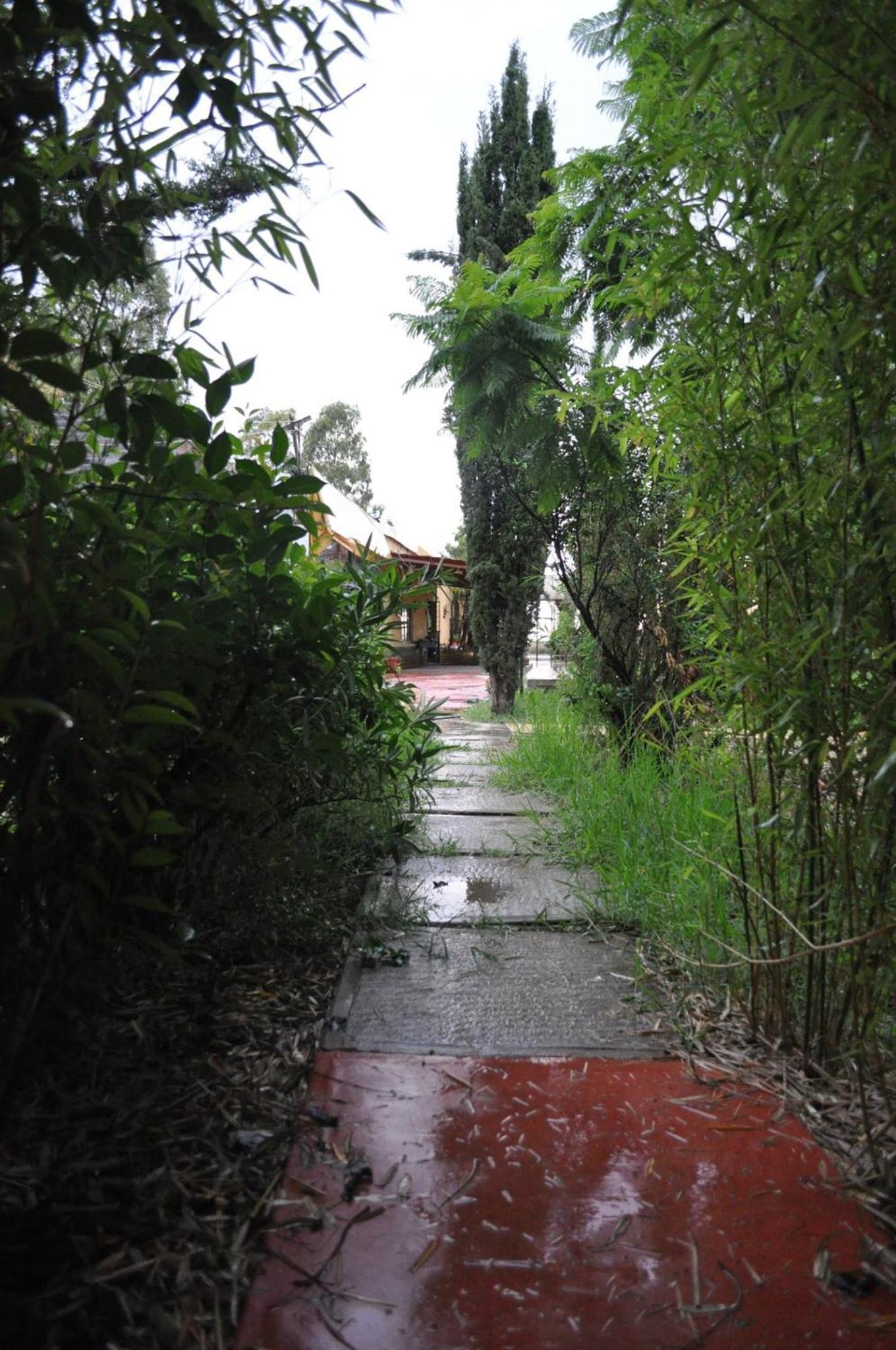 garden