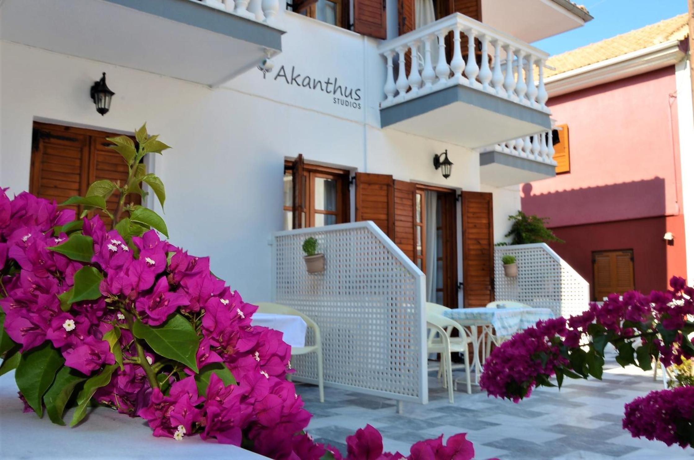 AKANTHUS STUDIOS - Ex Vergos Pavlos view 4