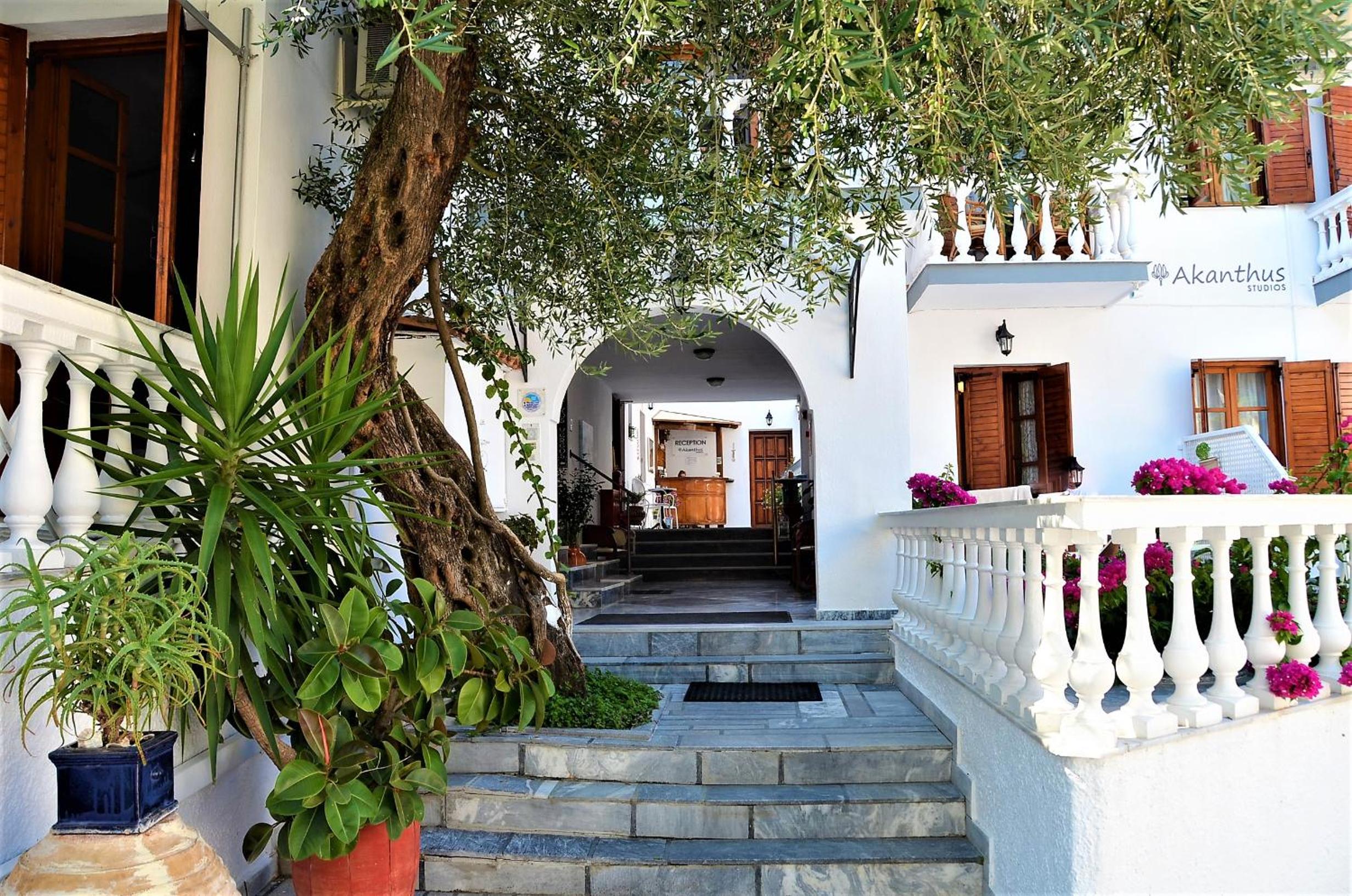 AKANTHUS STUDIOS - Ex Vergos Pavlos view 2