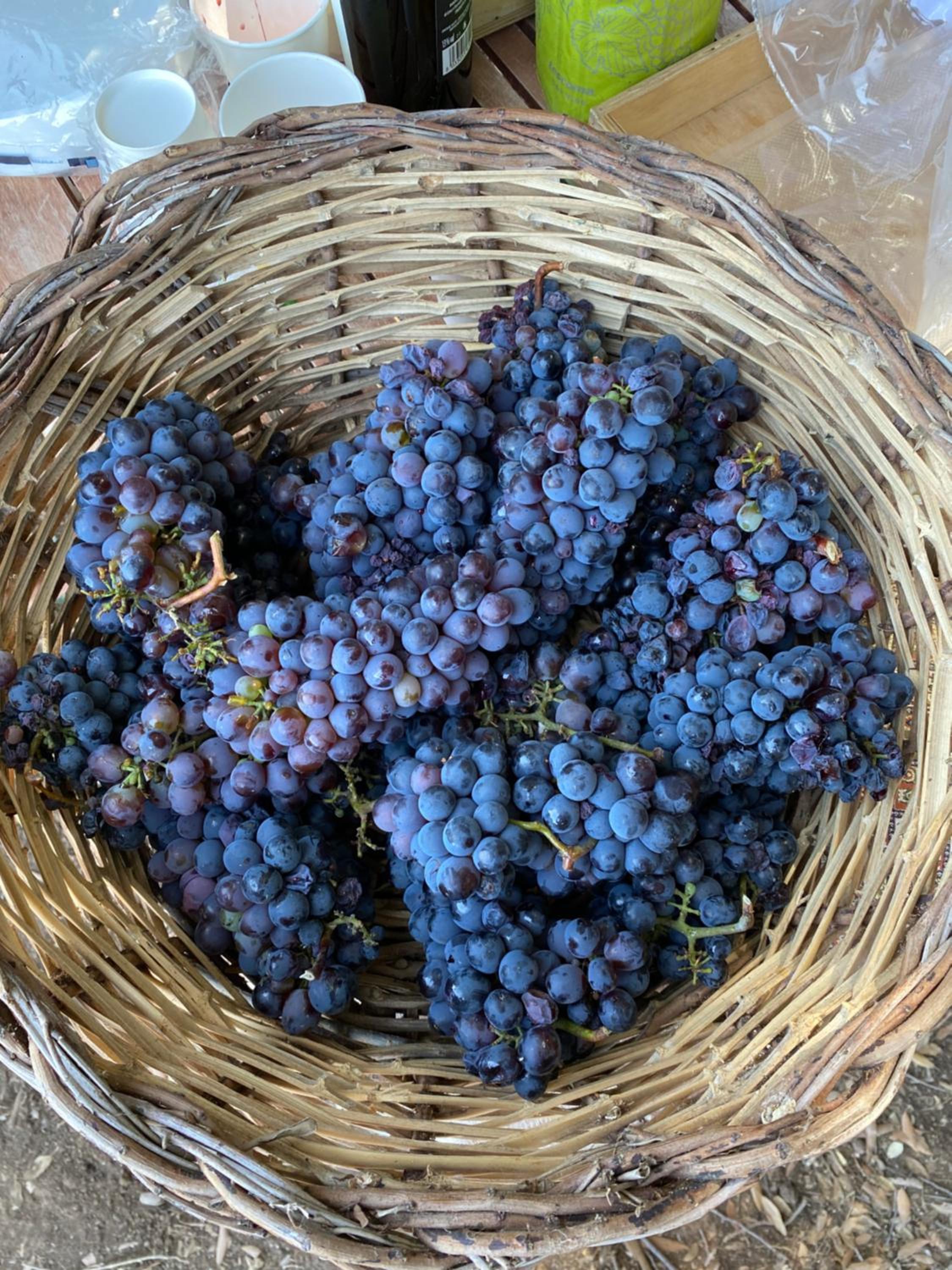 Masseria Li Capperi